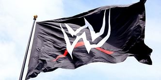 WWE reports the highest revenue in company's history in 2022