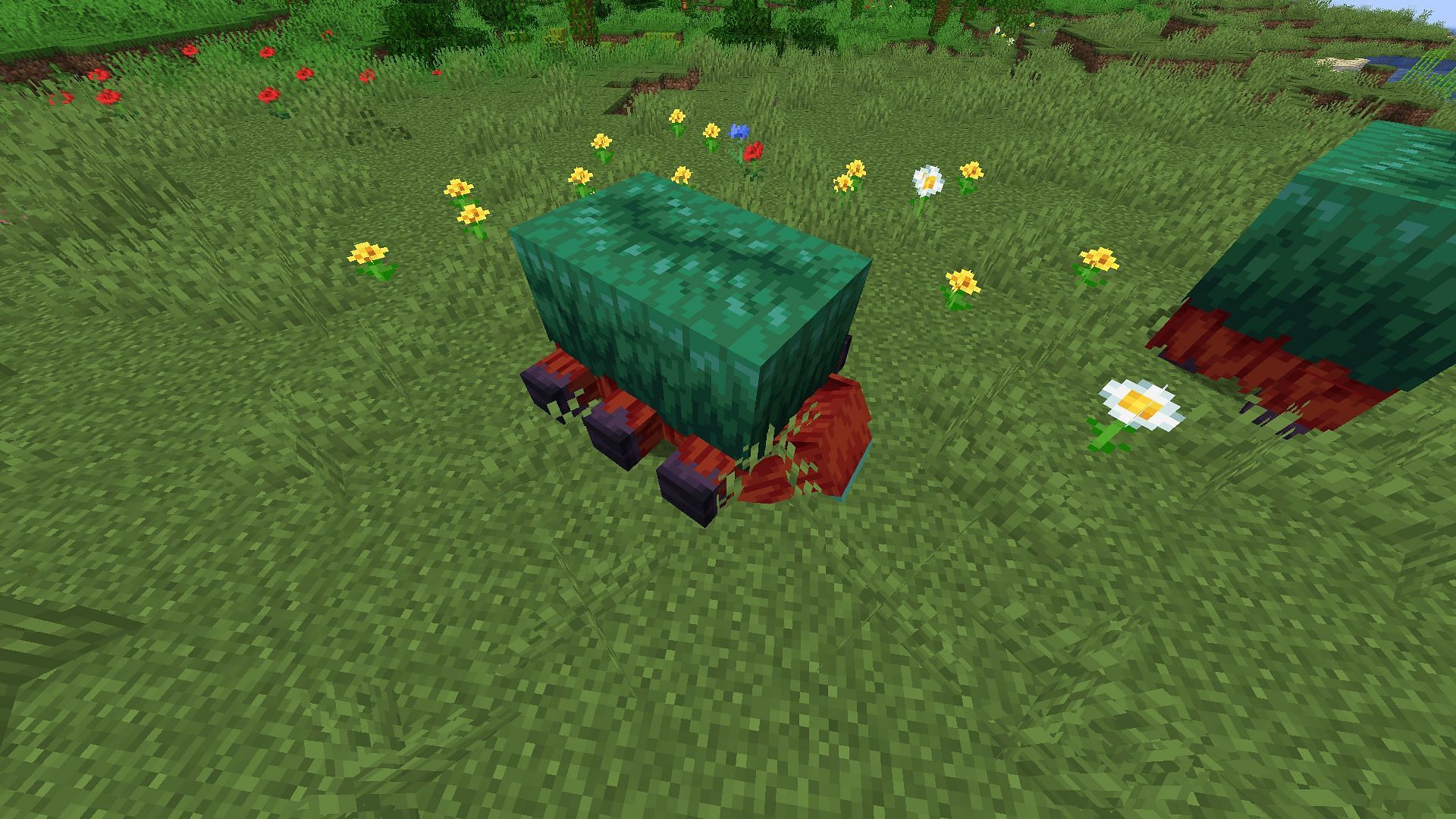 Sniffer will sniff the ground for torchflower seeds in Minecraft 1.20 update (Image via Mojang)