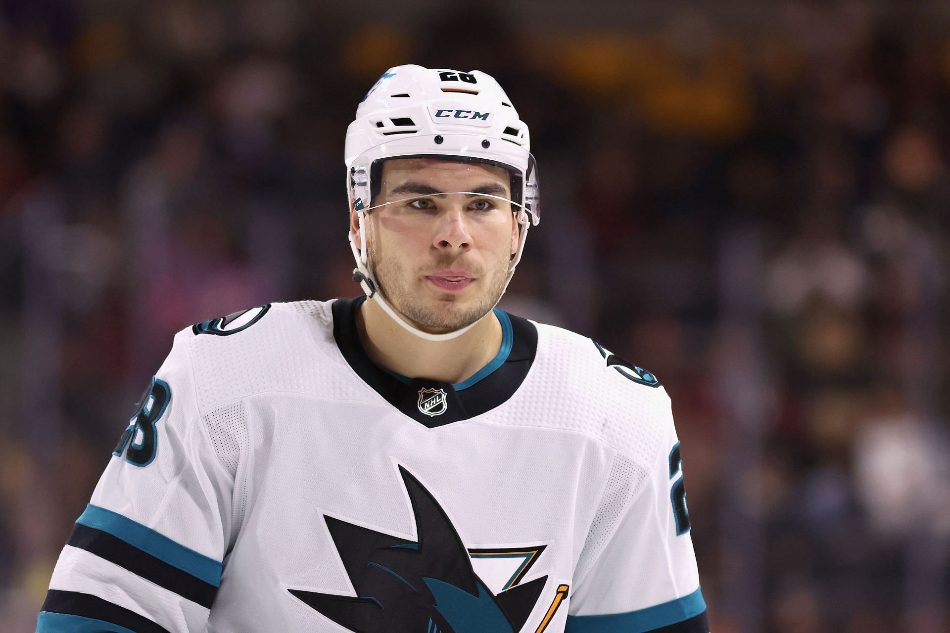 Timo Meier #28 of the San Jose Sharks (Photo by Christian Petersen/Getty Images)