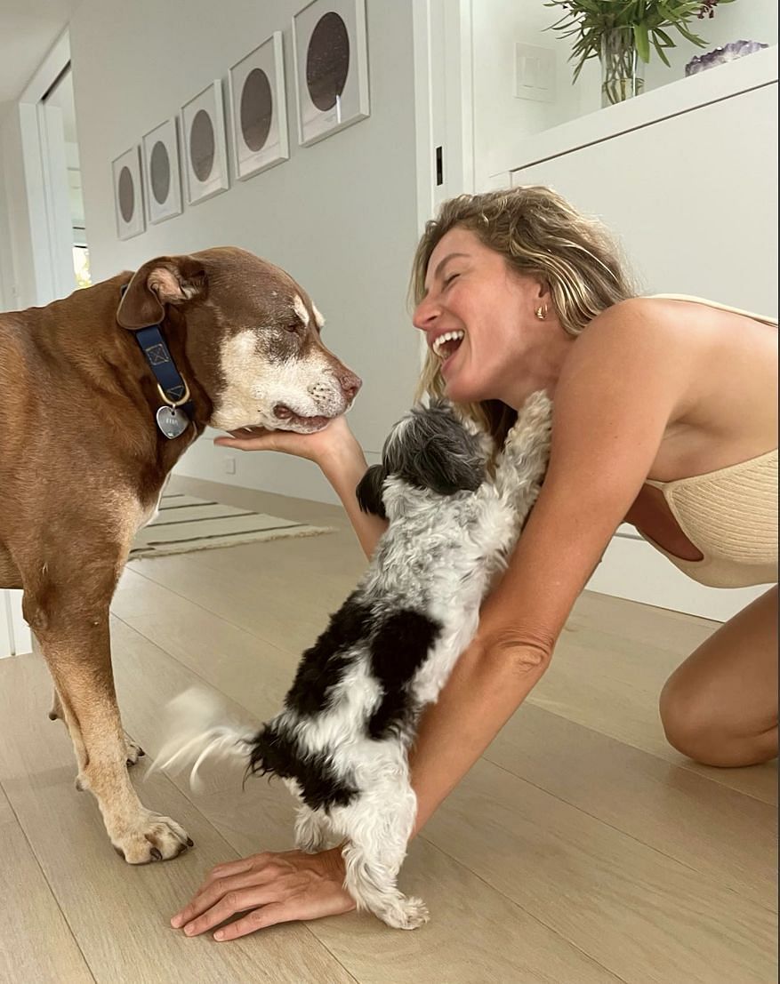 Bundchen with her dogs. Source: Gisele Bundchen IG