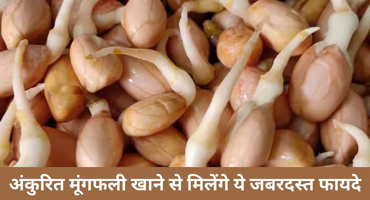 अंकुरित मूंगफली खाने से मिलेंगे ये जबरदस्त फायदे(फोटो-Sportskeeda hindi)