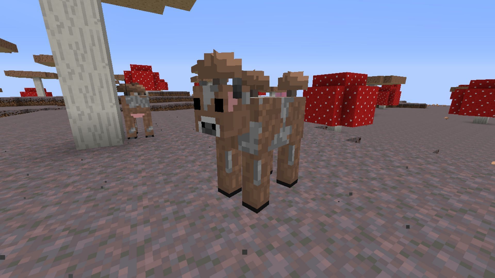 Brown Mooshroom is another rare mob that spawns on a rare biome in Minecraft (Image via Reddit / u/blackdragon6547)