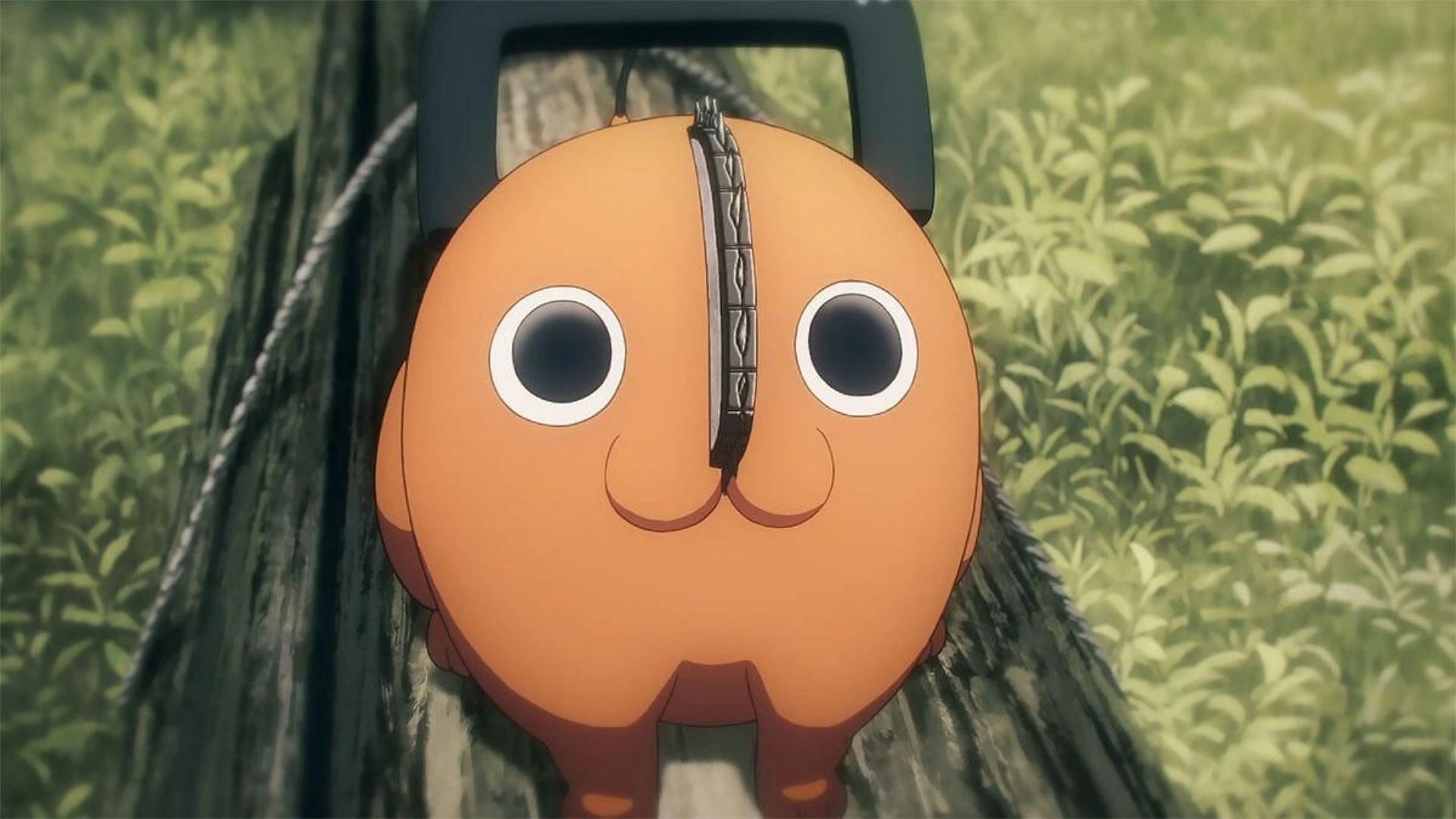 Pochita as seen in Chainsaw Man (Image via MAPPA)