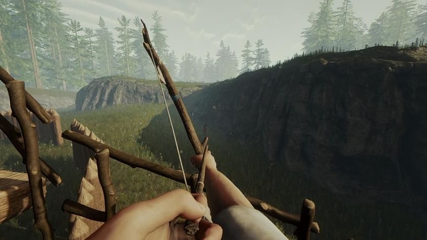 Action Camera Location In Sons Of The Forest - MMO Wiki