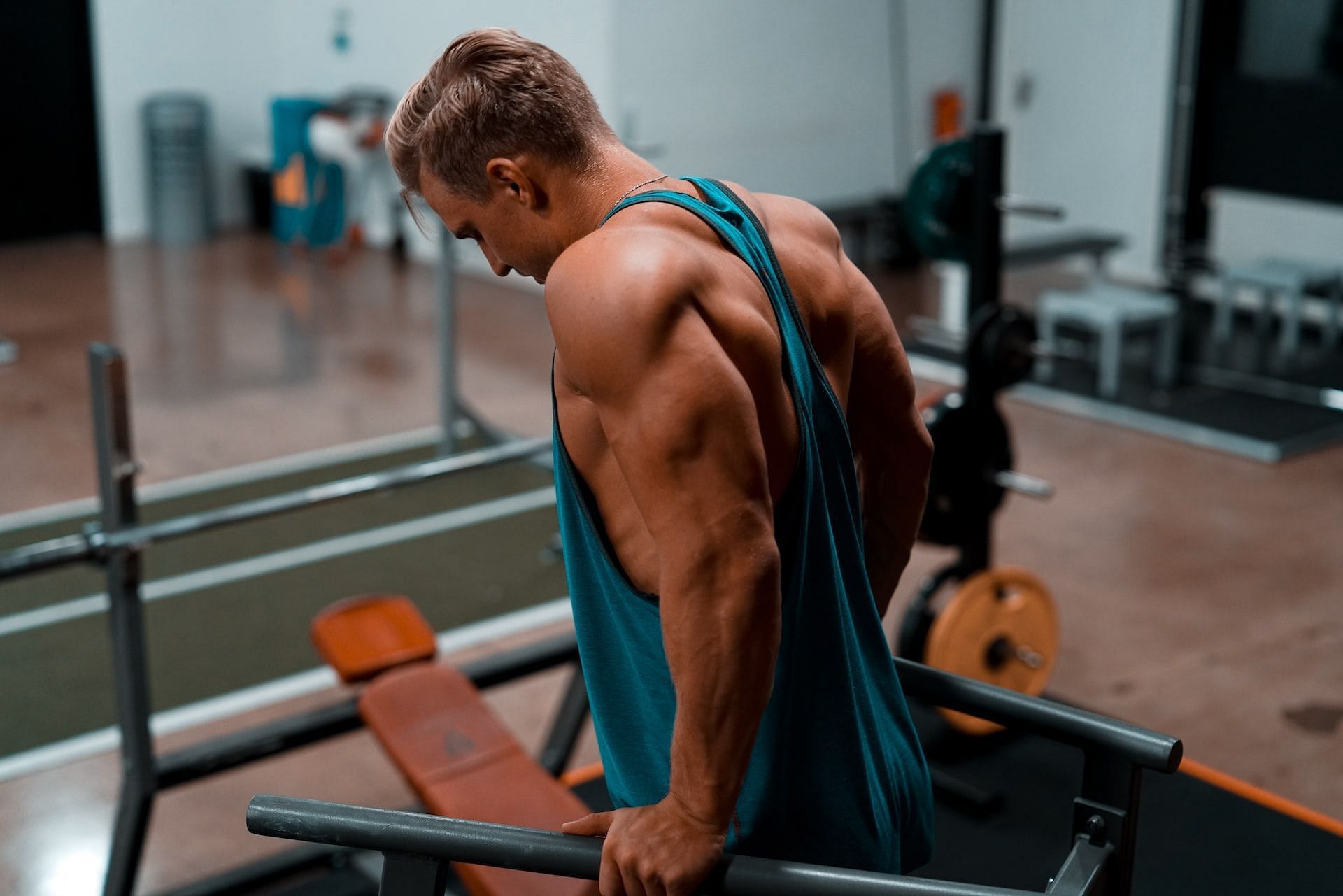 Everything to know about tricep bench dips. (Photo via John Fornander/Unsplash)