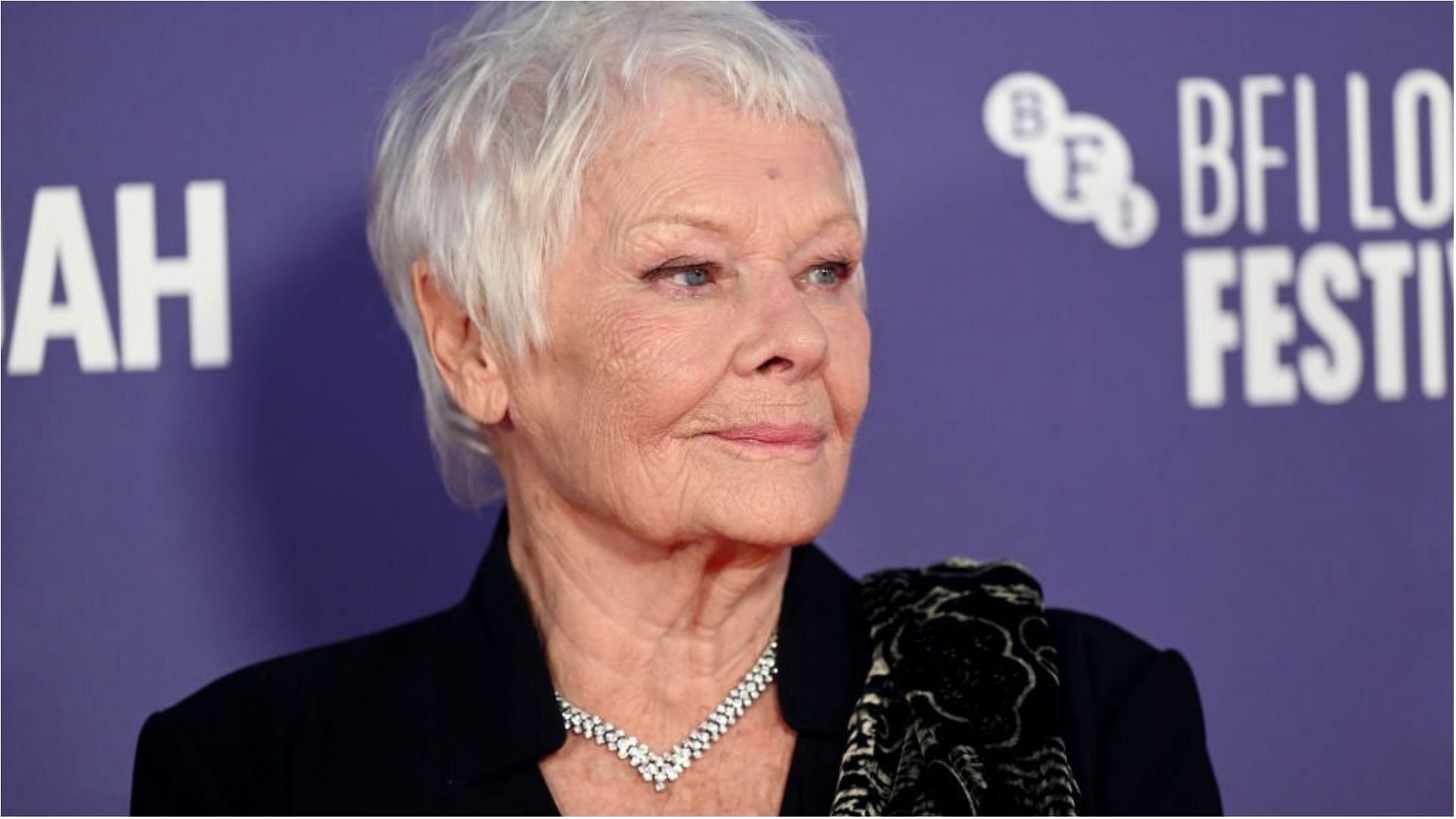 Judi Dench addressed the problems her eye problems have been creating for her (Image via Stuart C. Wilson/Getty Images)