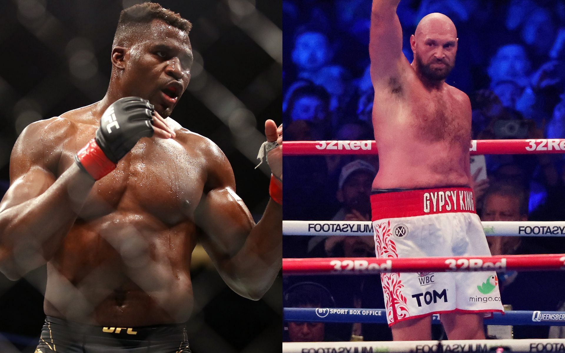 Tyson Fury Is Tyson Fury fighting Francis Ngannou next? Bellator