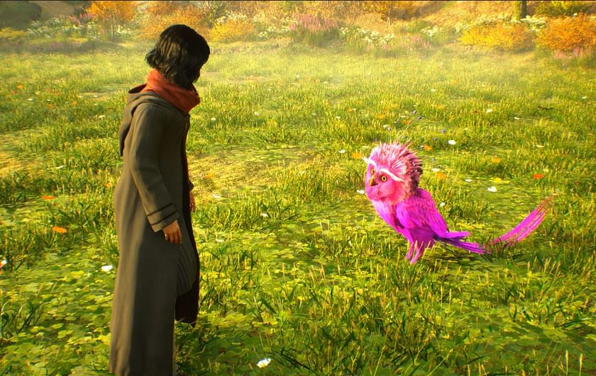 How to find Fwoopers and obtain Fwooper Feathers in Hogwarts Legacy