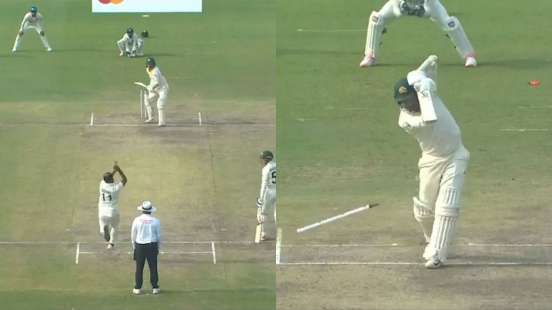 Mohammed Shami dismissed Nathan Lyon in Delhi (Image: BCCI)