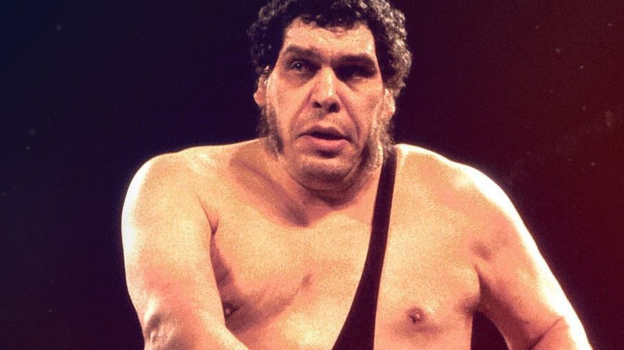Andre The Giant in WWE