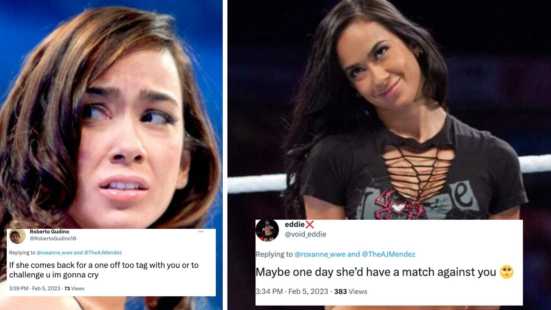 A current champion referenced WWE legend AJ Lee today.