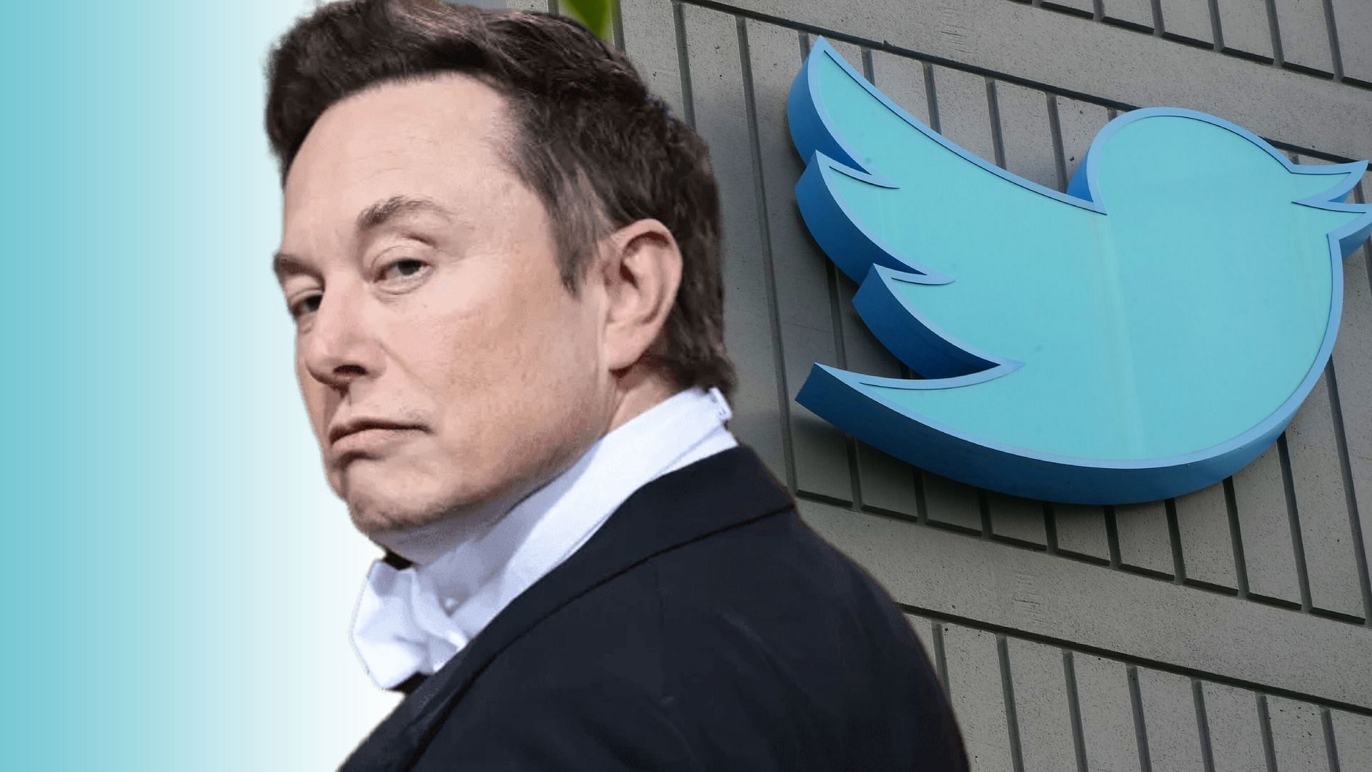 Twitter to share ad revenue with creators going forward announces Elon Musk (Image via Sportskeeda)