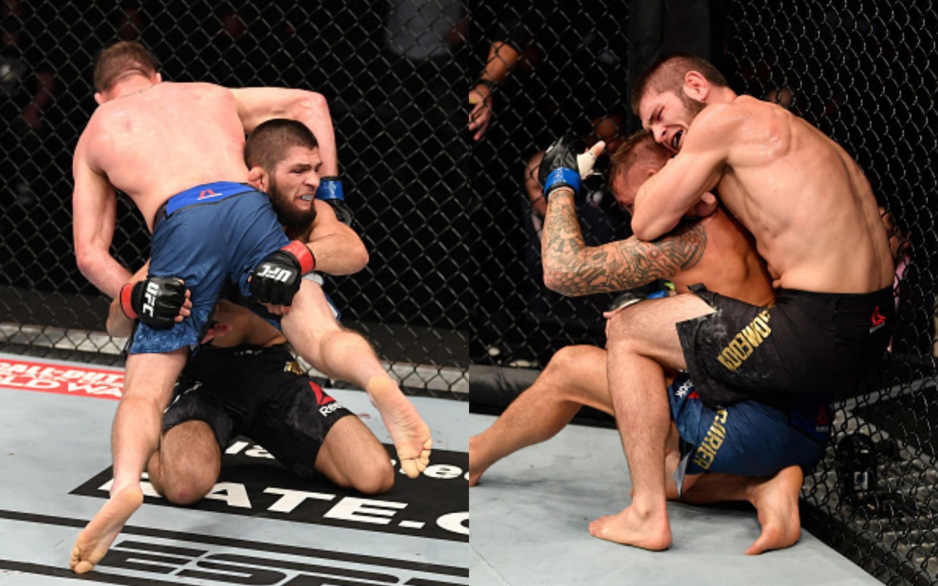 Khabib vs. Gaethje (left), Khabib vs. Poirier (right)