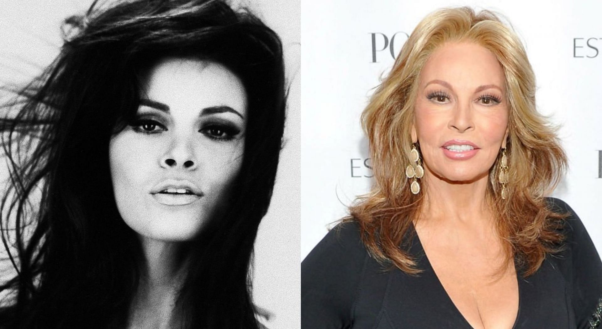 American actress Raquel Welch passed away after a &quot;brief illness&quot; aged 82 (Image via Getty Images)