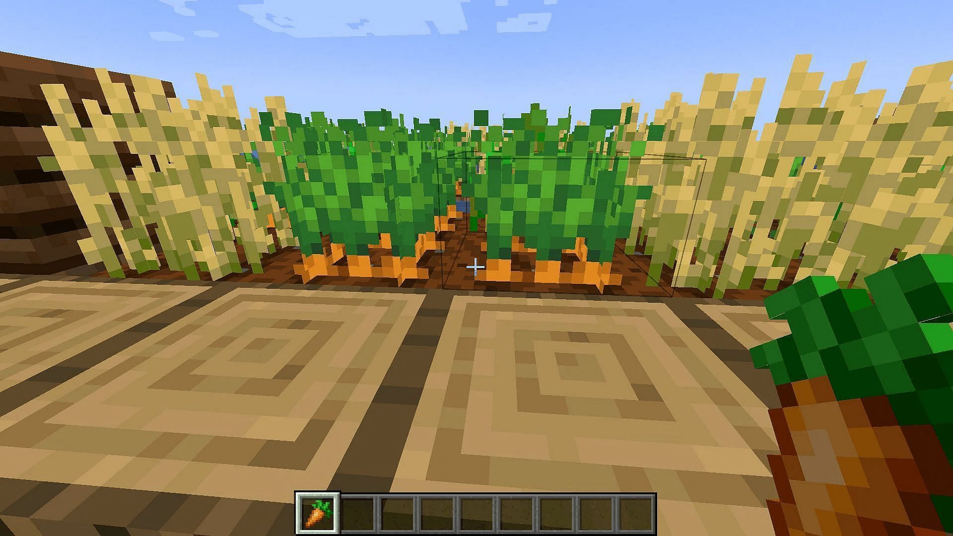 How to get carrots in Minecraft (2023)