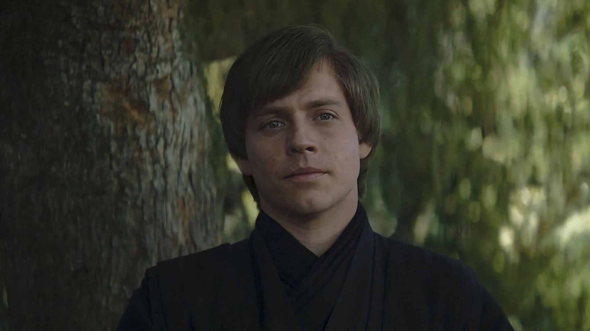 Discovering a new dimension: The exploration of Luke Skywalker