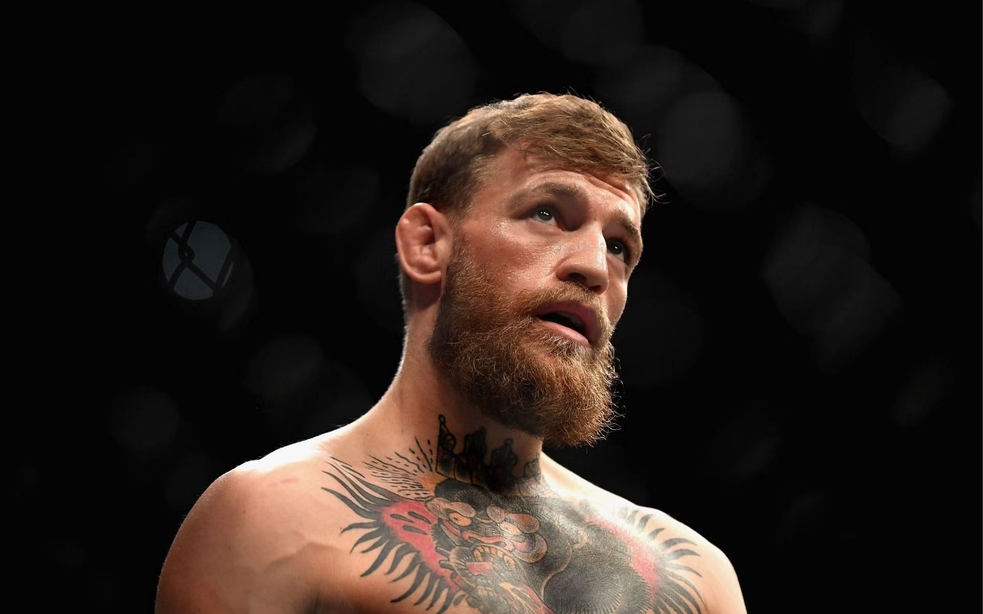 How Conor Mcgregor Fight With His Mind - Masculine Mindset