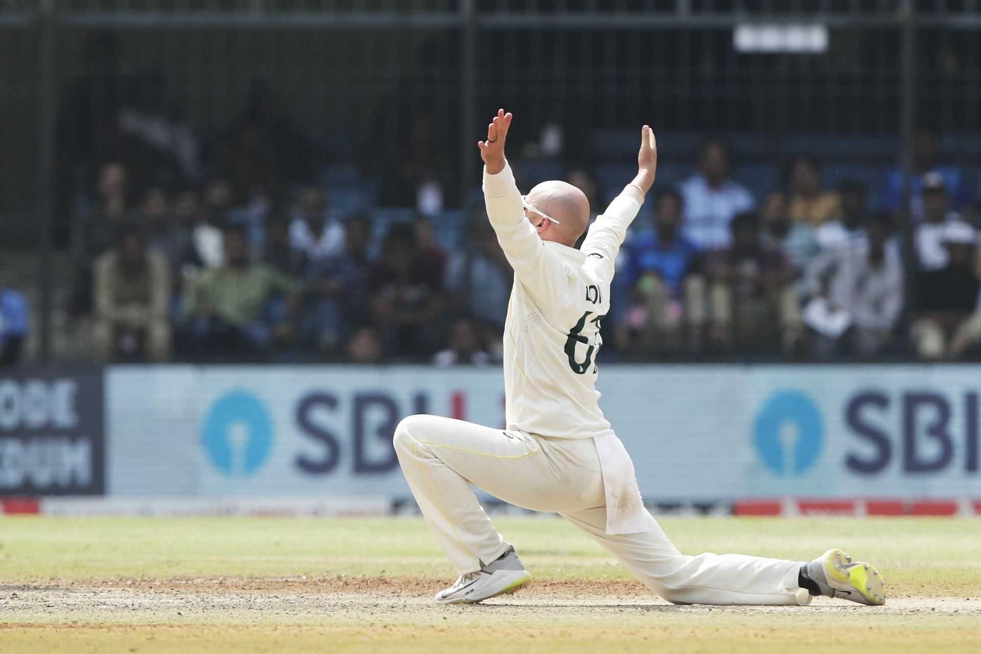 Nathan Lyon picked up 11 wickets in the game. (Credits: Getty)