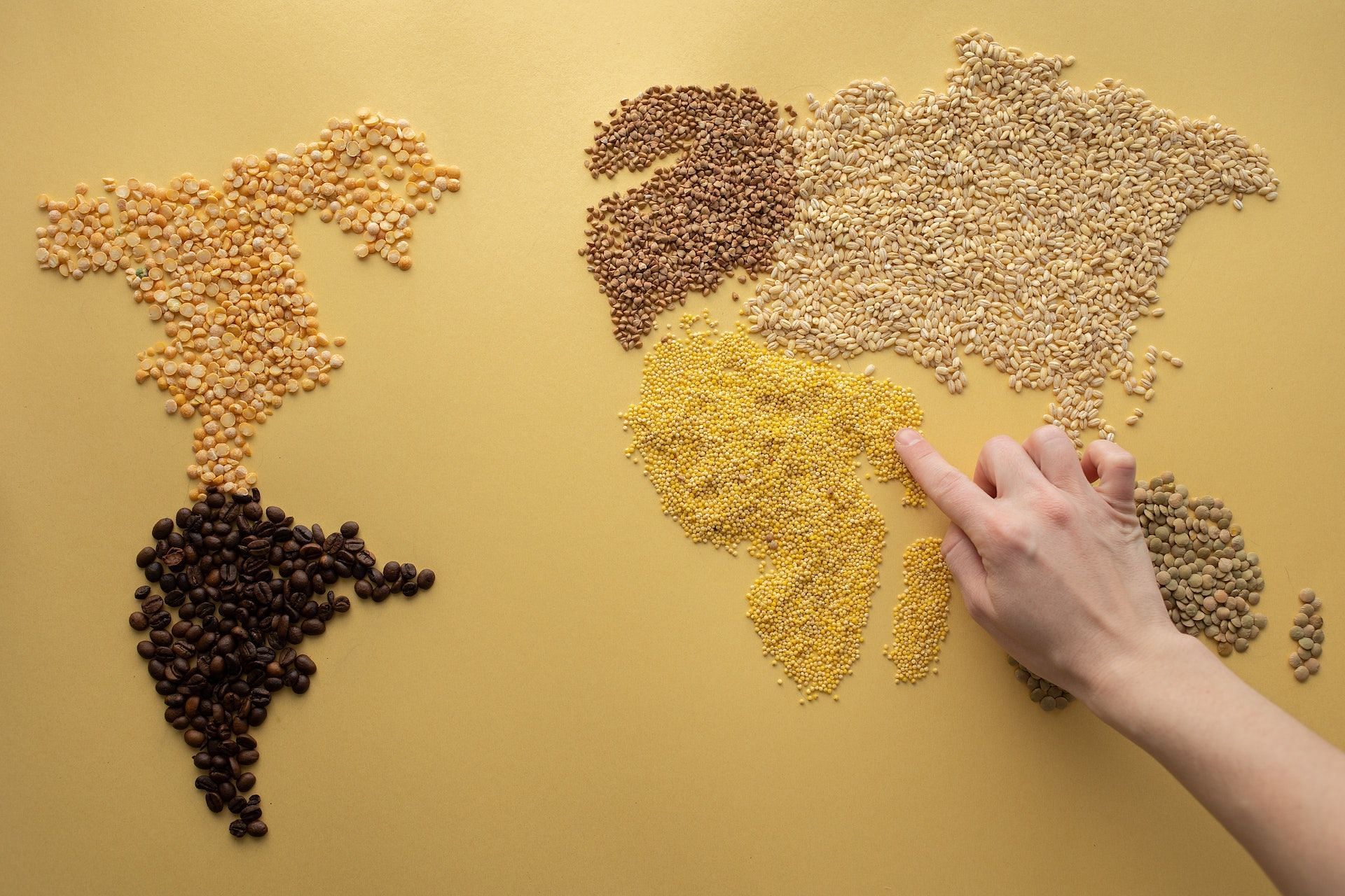 Nutrition in millets makes it a super-healthy grain. (Photo via Pexels/Monstera)