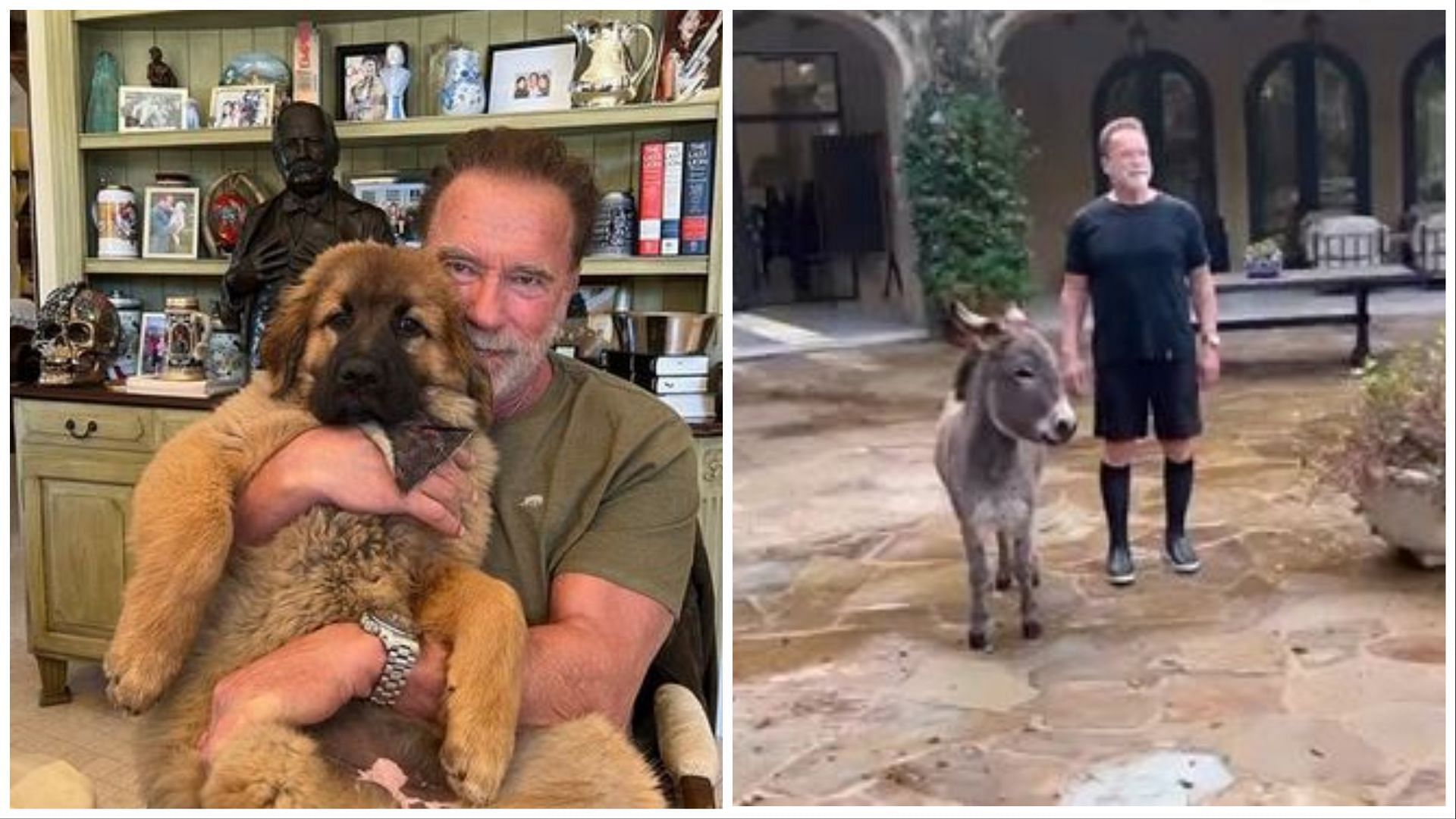 Arnold Schwarzenegger (via Instagram/@Schwarzenegger