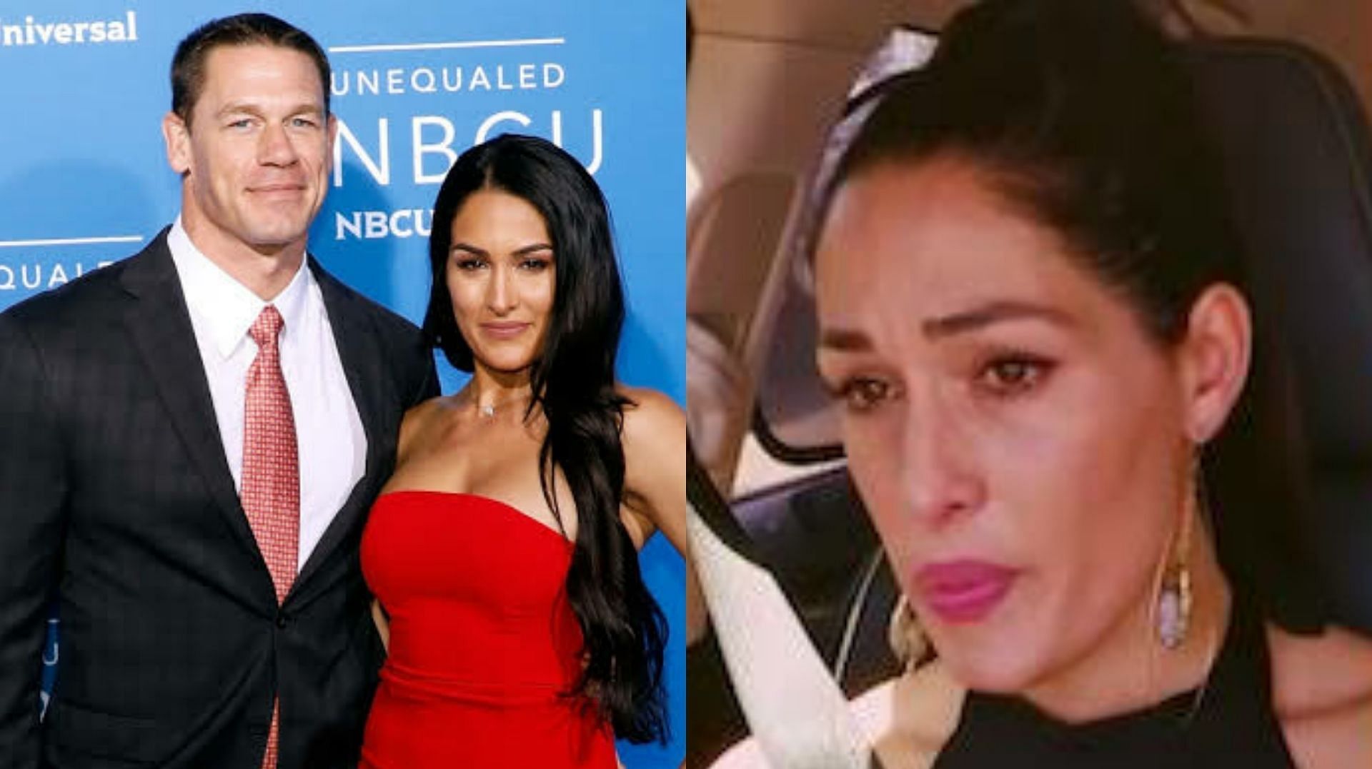John Cena was in a relationship with Nikki Bella. 