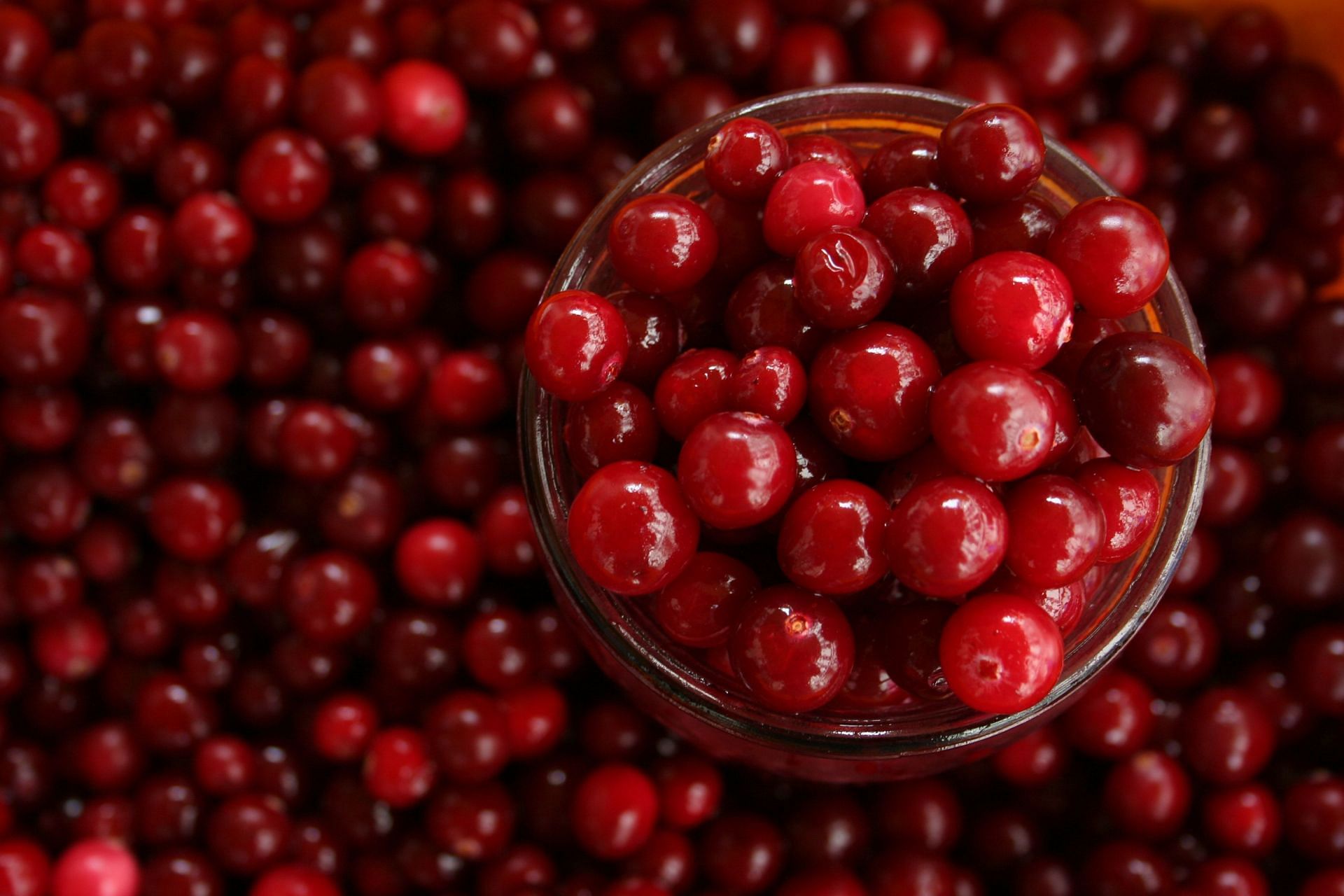 Tart and juicy cranberry: packed with health benefits and antioxidants (Image via Pexels)