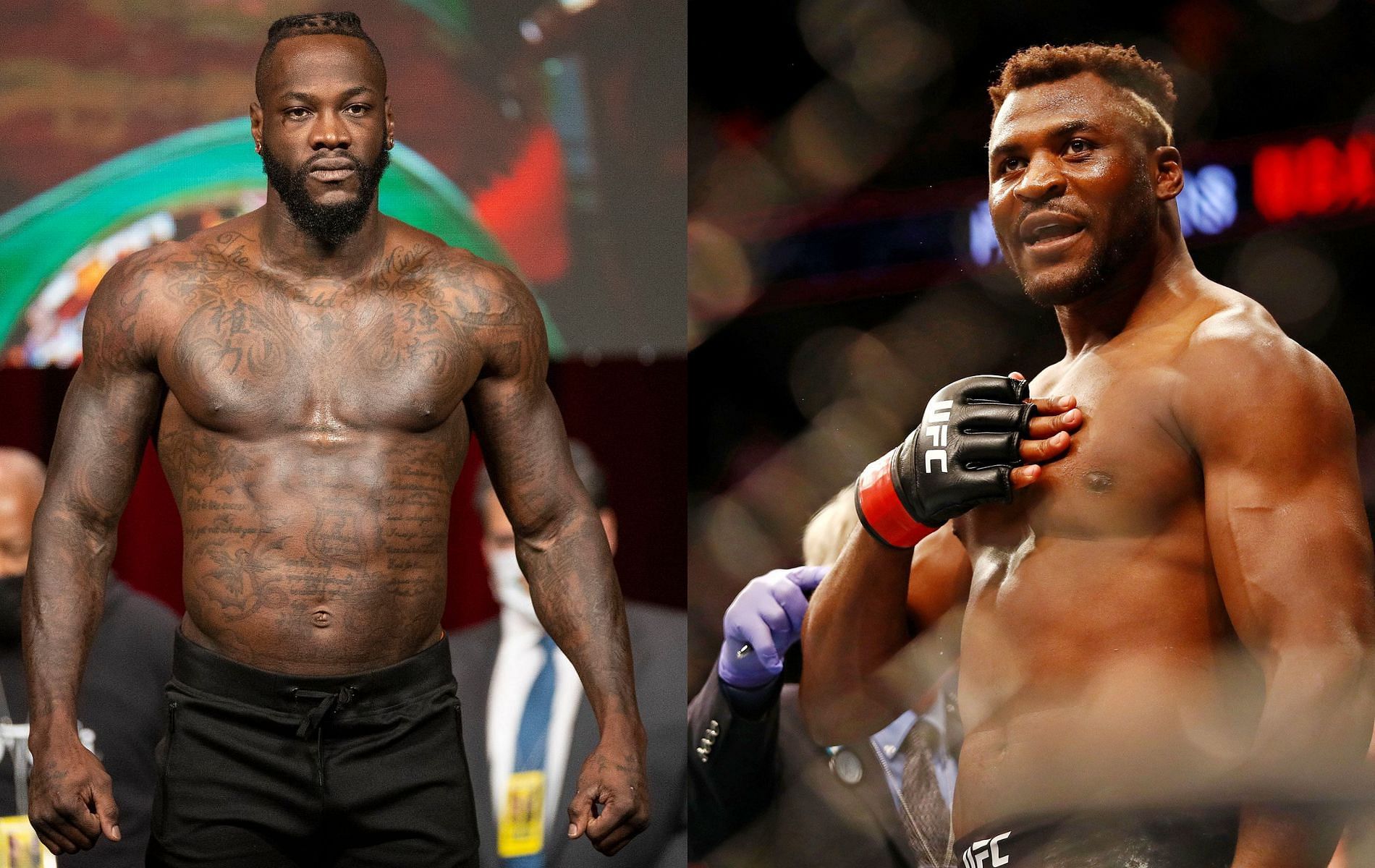 Deontay Wilder (left) and Francis Ngannou (right)