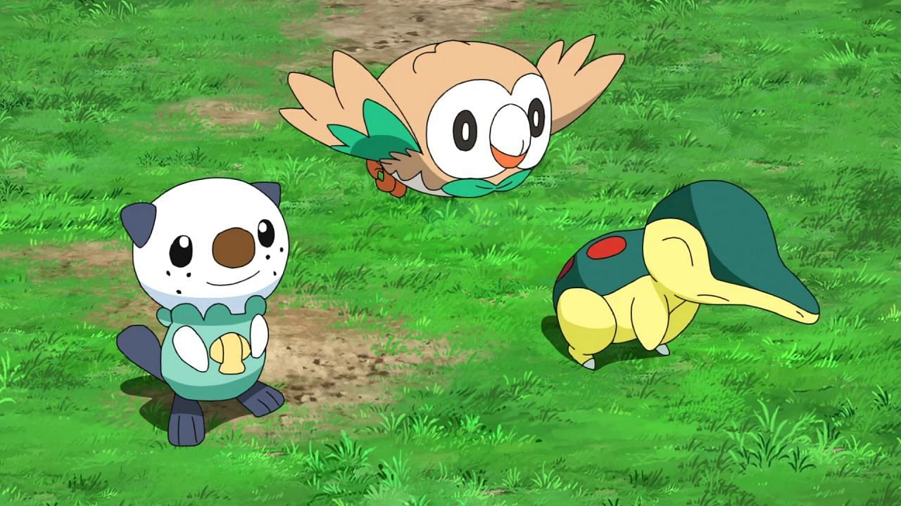 The three first stages of the Hisuian Starters as they appear in the anime (Image via The Pokemon Company)