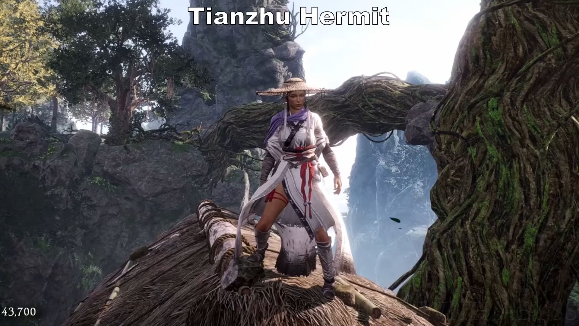 The Tianzhu Hermit set (Image via YouTube/Gaming with Abyss)