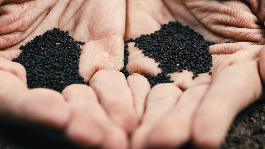 Basil Seeds Are Rich In Nutrients (Image via Getty Images)