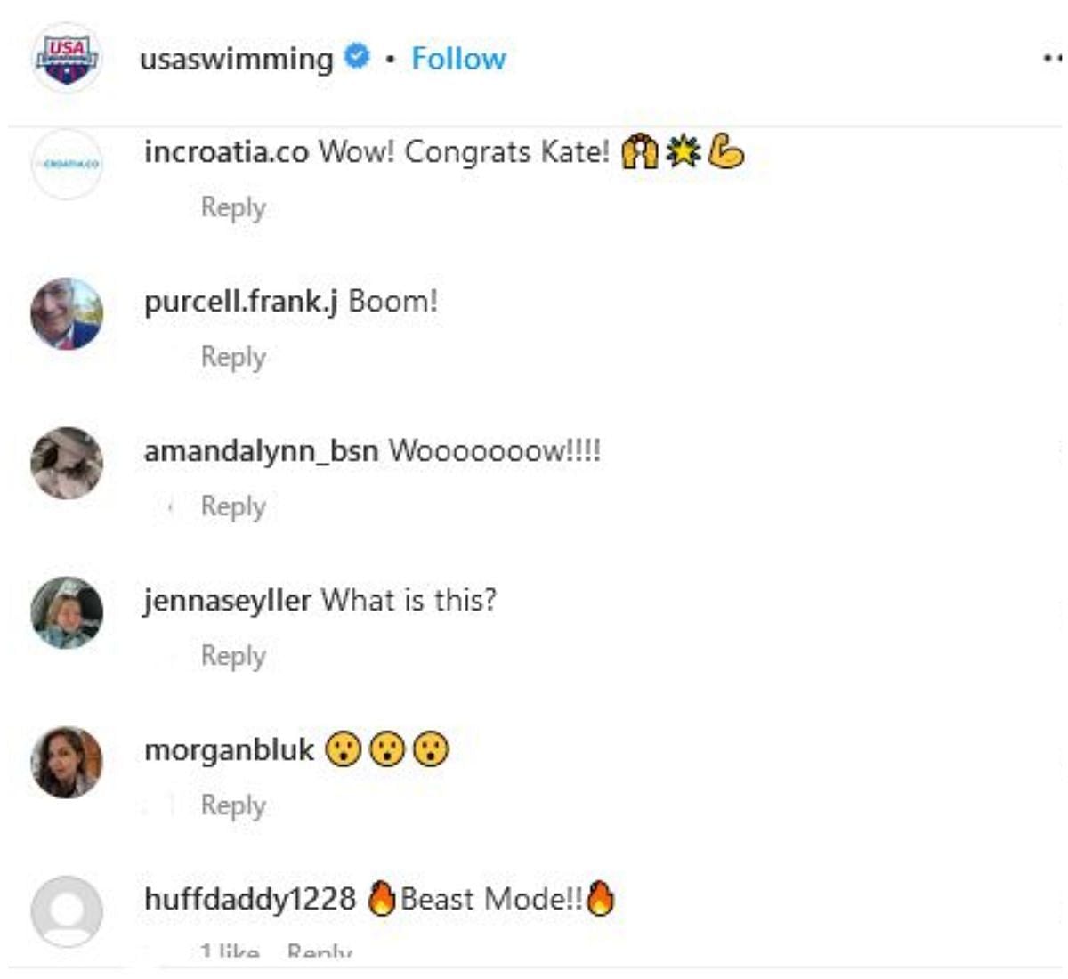 Screengrab of USASwimming&#039;s official Instagram comment section