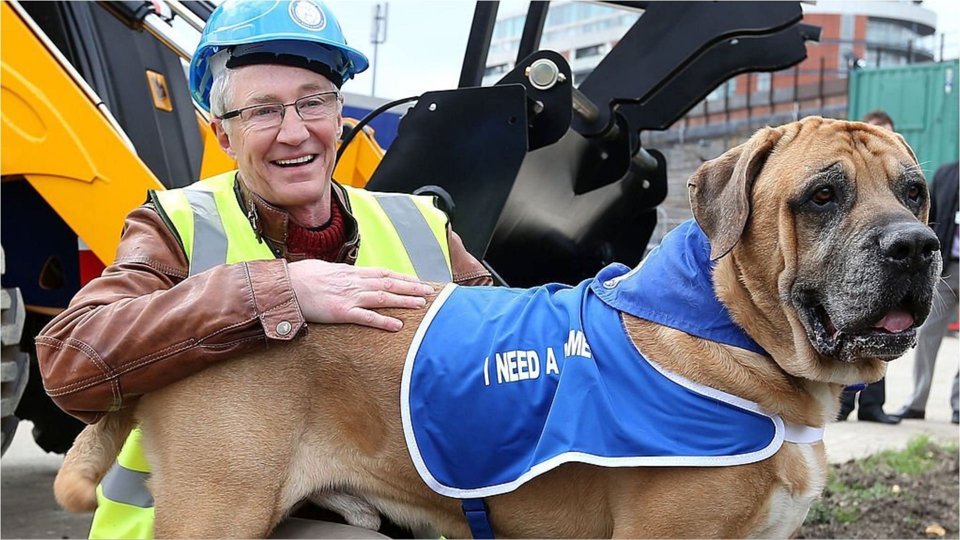 Paul O&#039;Grady posing with a dog at the launch of a new campaign to provide updated kennels at Battersea Dogs &amp; Cats Home (Image via Danny Martindale/Getty Images)