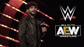 WWE veteran says Tony Khan's AEW announcement "came off horribly"; could be at risk of losing fans