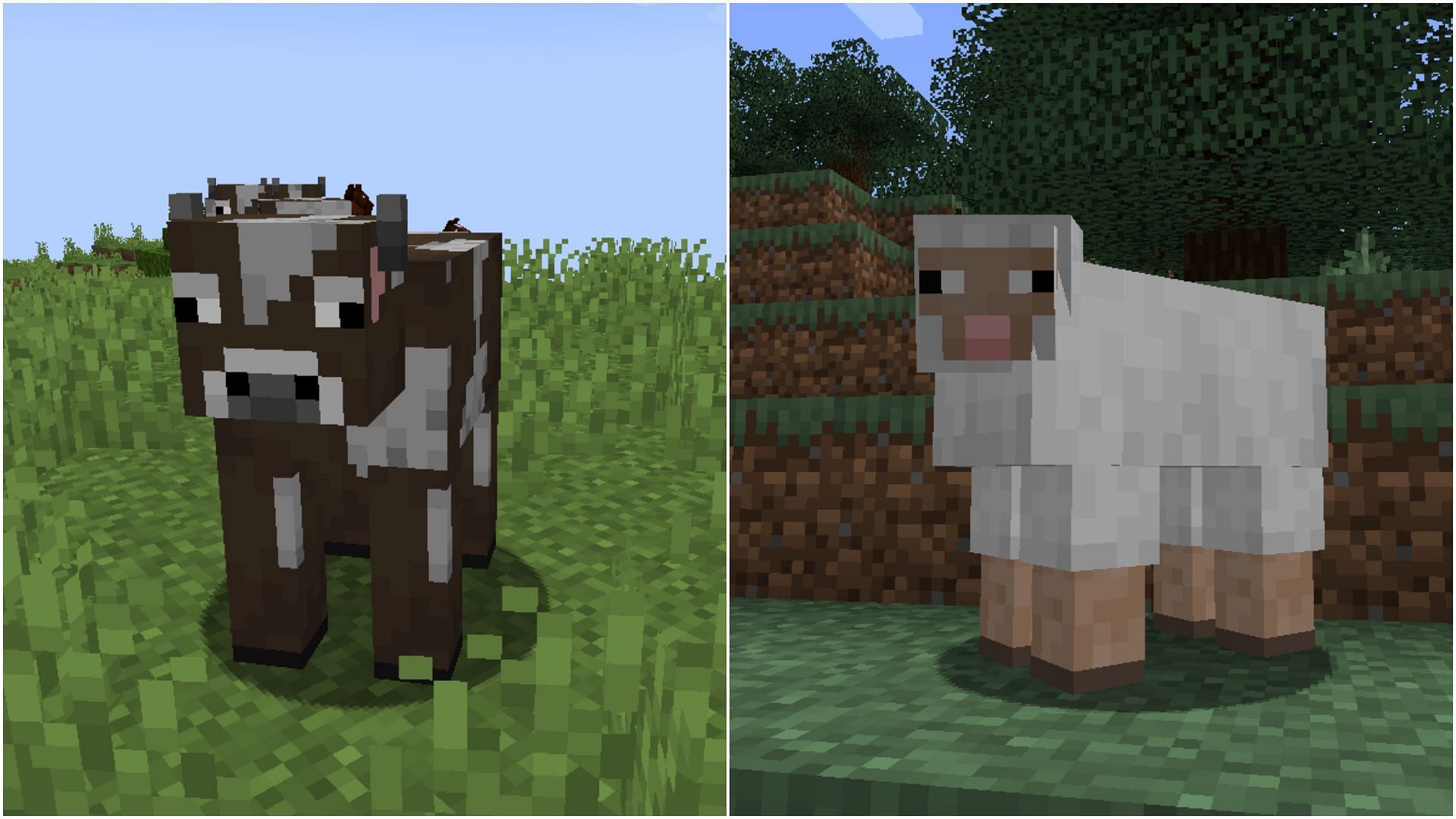 Simple farm animals consume wheat to enter love mode in Minecraft (Image via Sportskeeda)