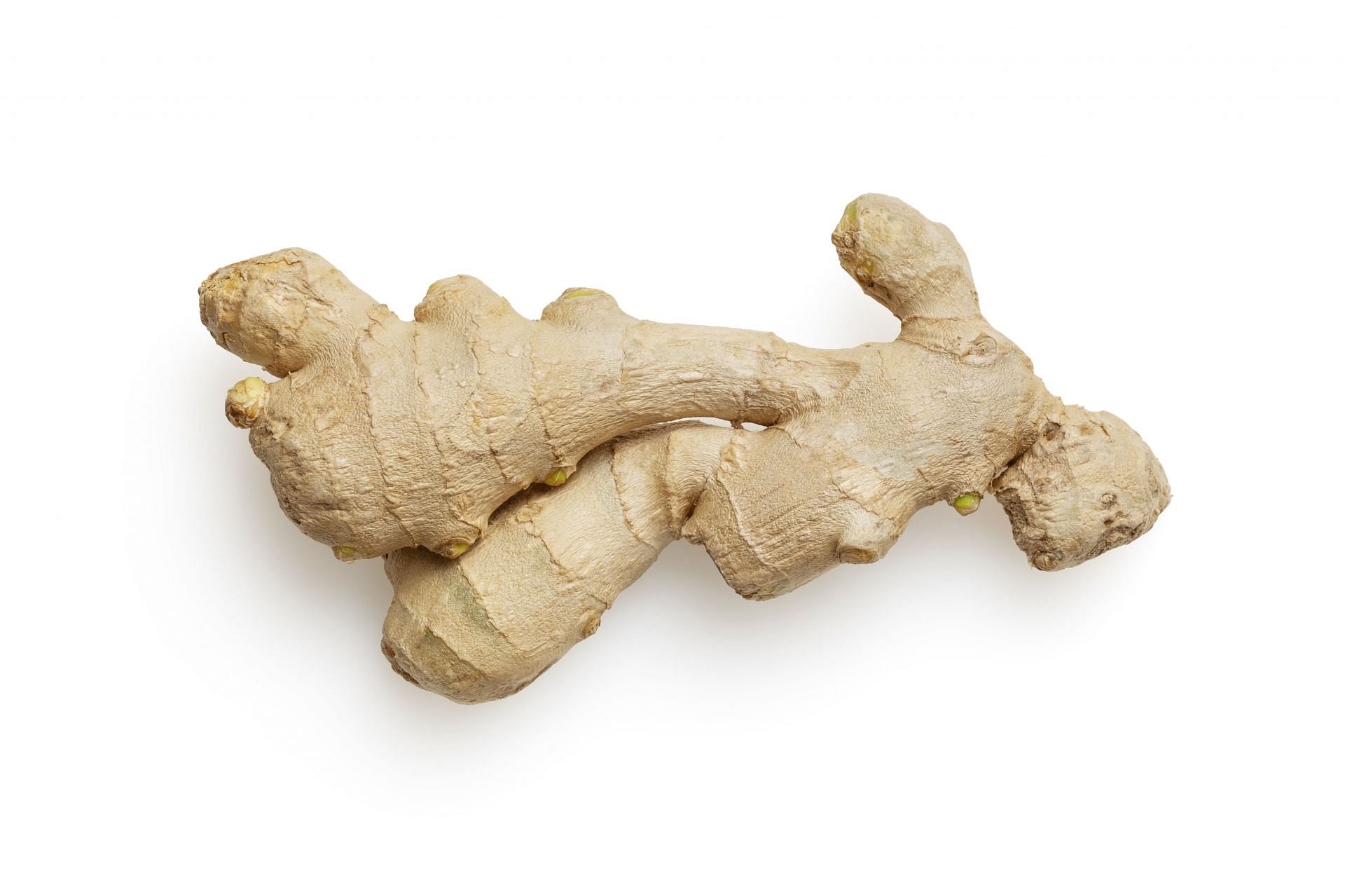 Ginger might provide temporary relief from nausea in mild cases. (Image via Unsplash/Mockup Graphics)