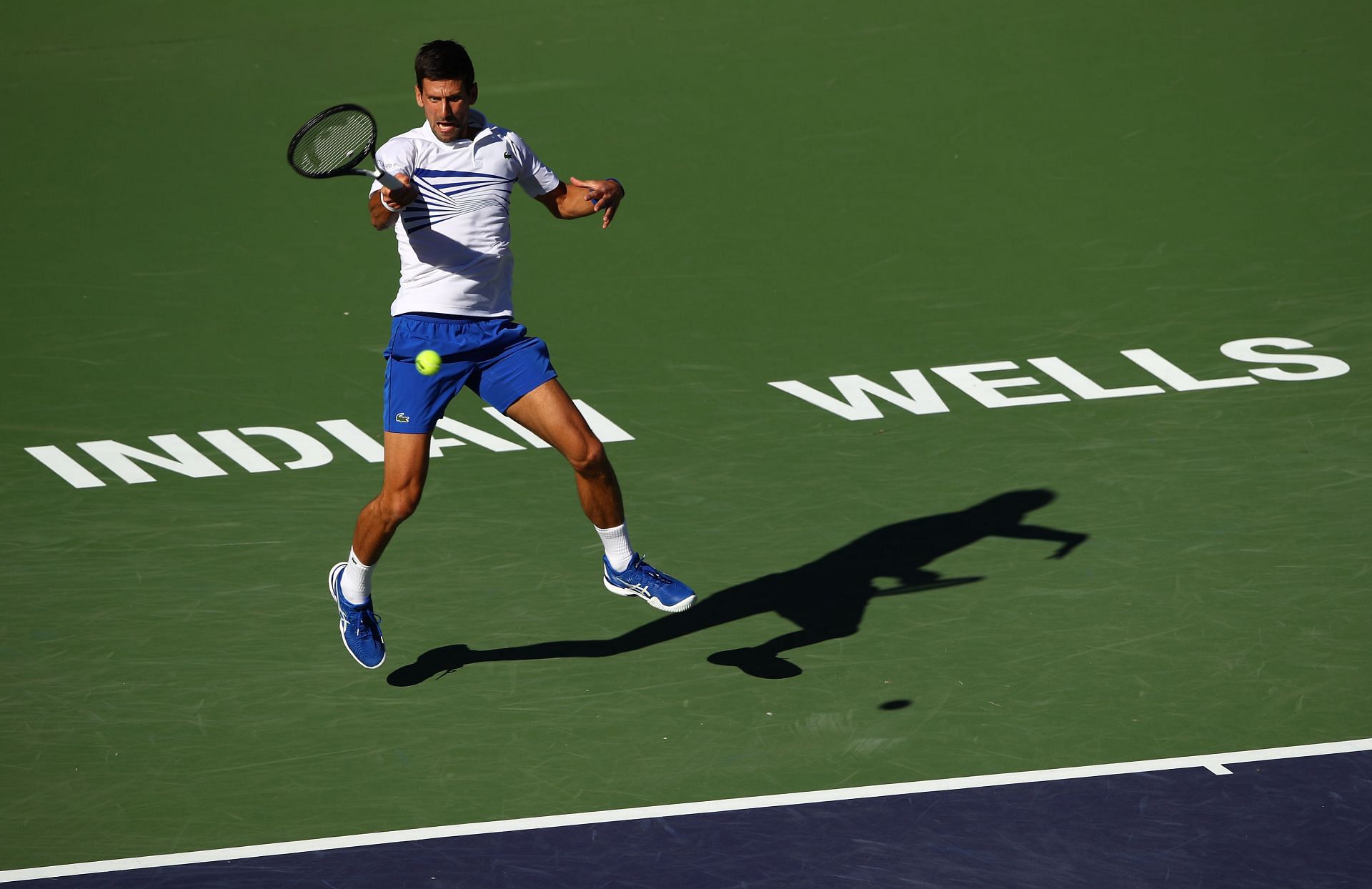 Novak Djokovic at the 2019 Indian Wells Masters