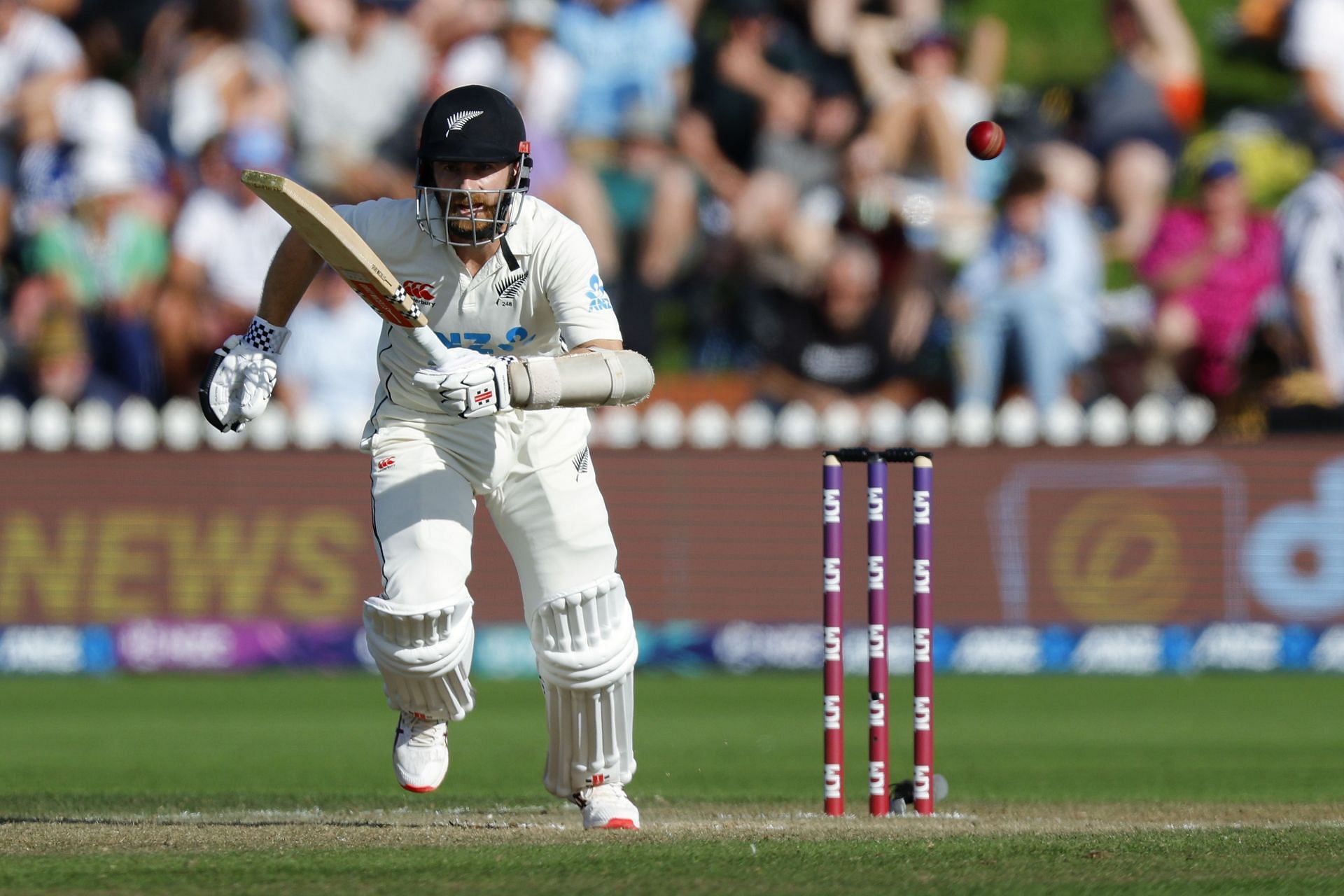 Kane WIlliamson reminded the cricketing world that he is still full of runs