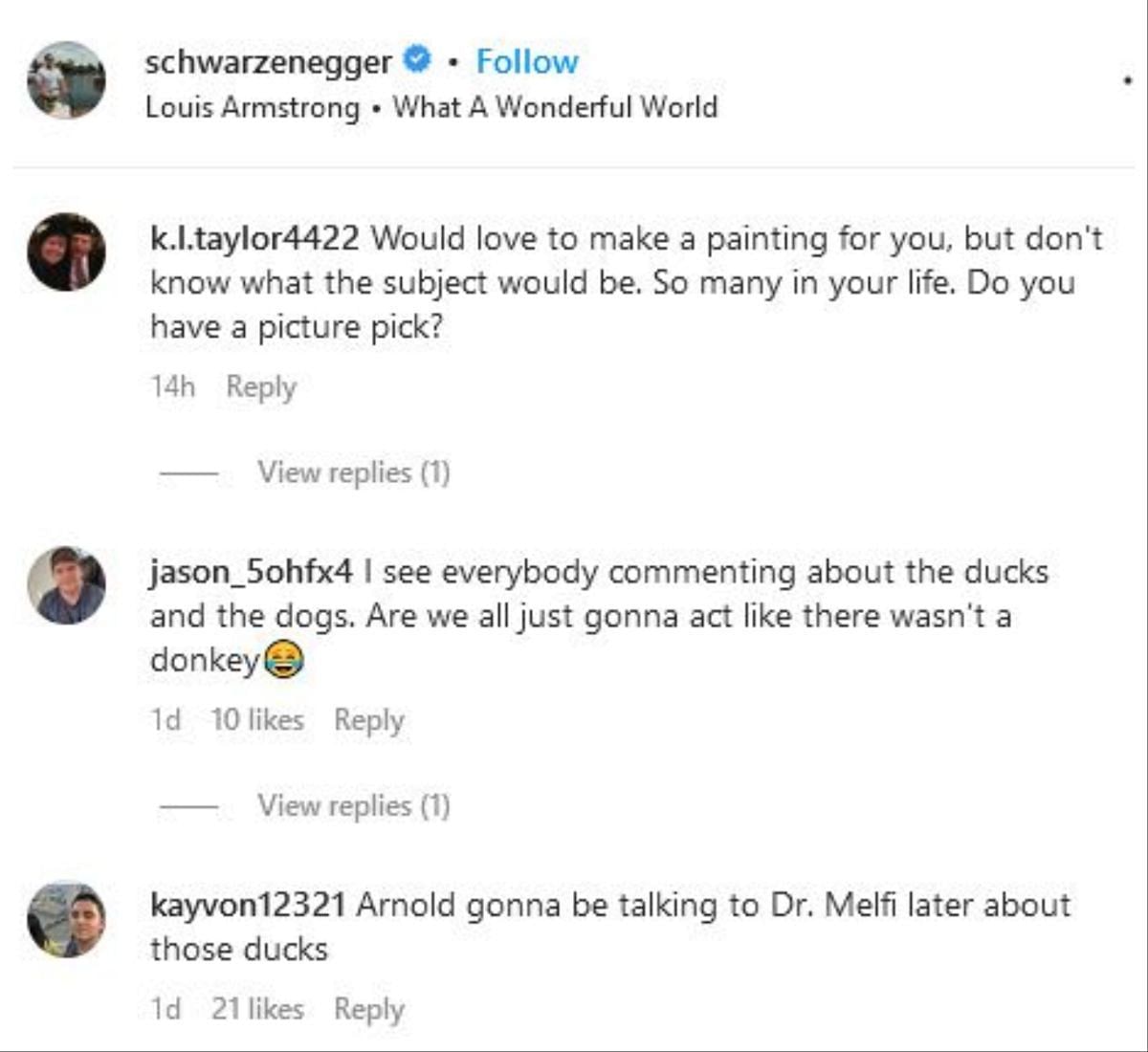 Screengrab of Arnold&#039;s Instagram comment section