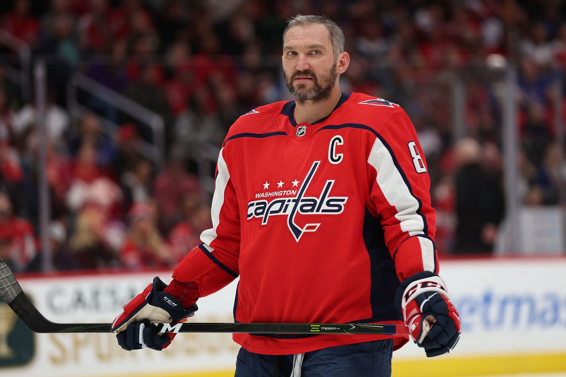 Washington Capitals Captain Alex Ovechkin Was In The Arena As Lakers ...