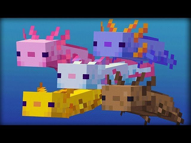 How to breed axolotls in Minecraft (2023)