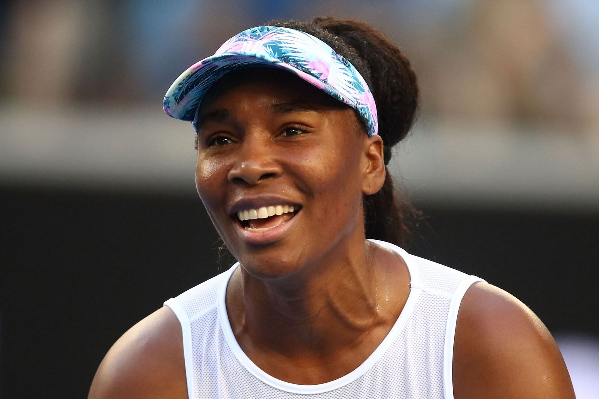 Venus Williams has a dog named Harry