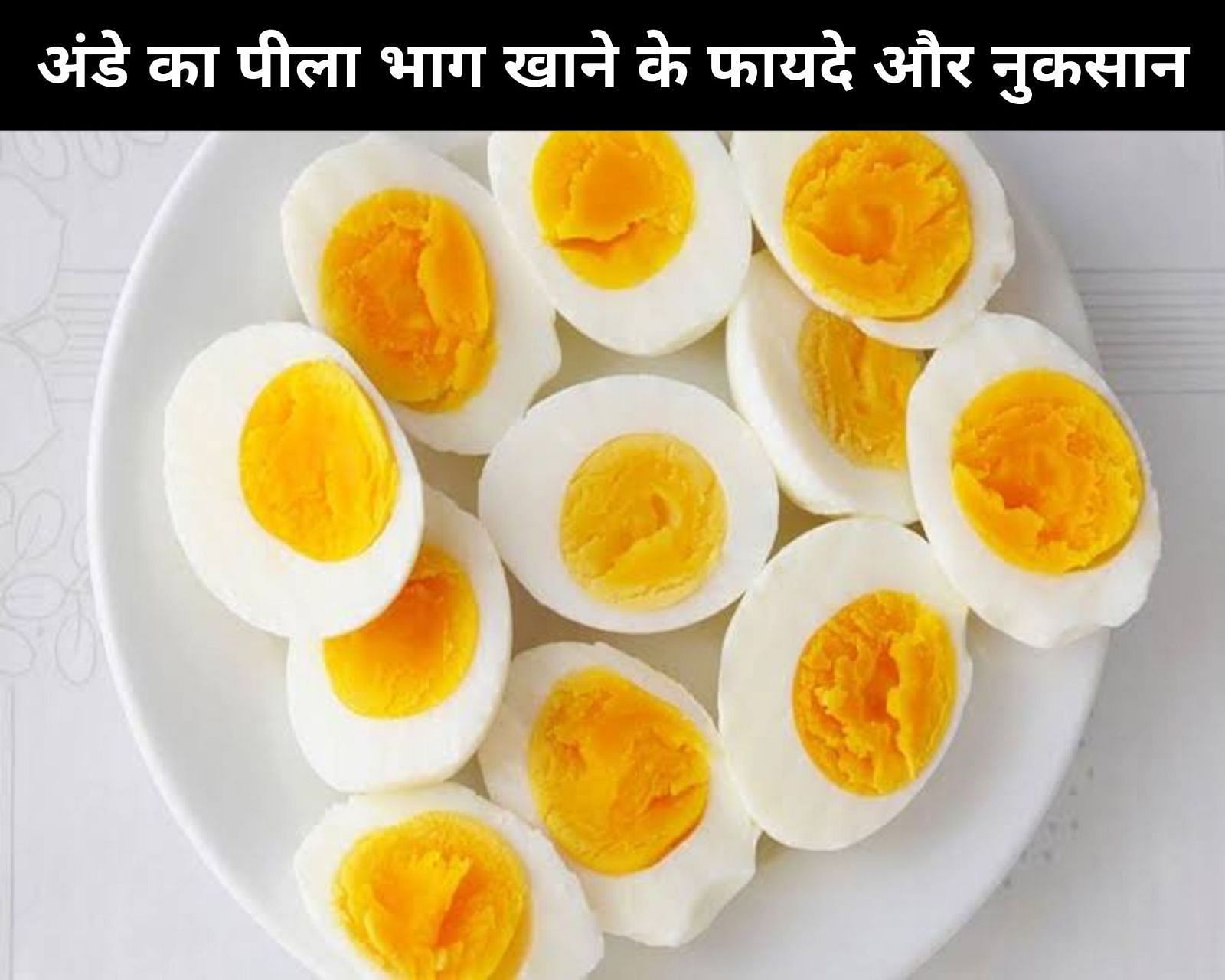 अंडे का पीला भाग खाने के फायदे और नुकसान (फोटो - sportskeedaहिन्दी)