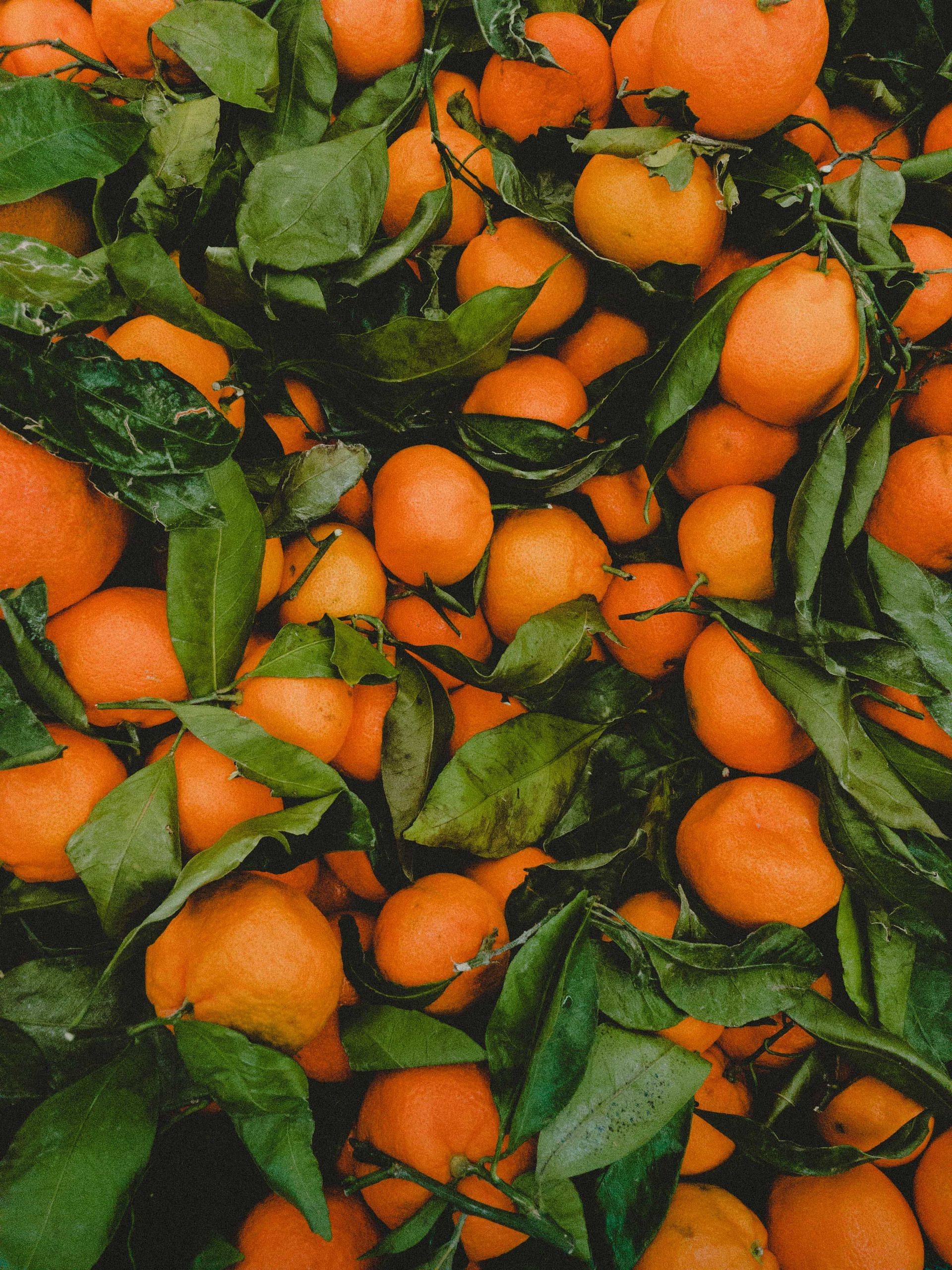 Boost your immune system with Ugli fruit&#039;s Vitamin C. (Image via Pexels)