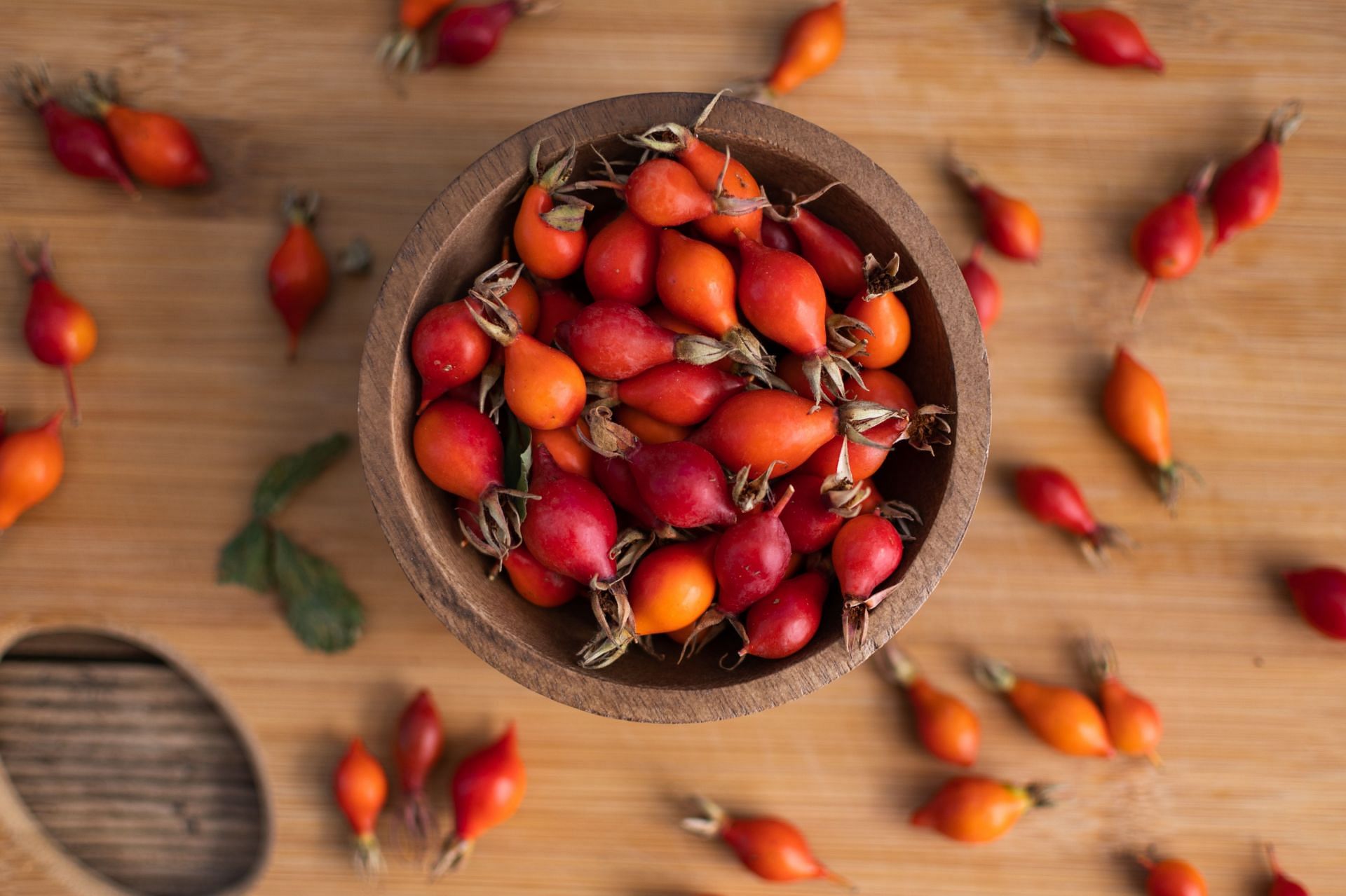 Why to use rosehip oil for hair? (Image via Unsplash / Meg Macdonald)