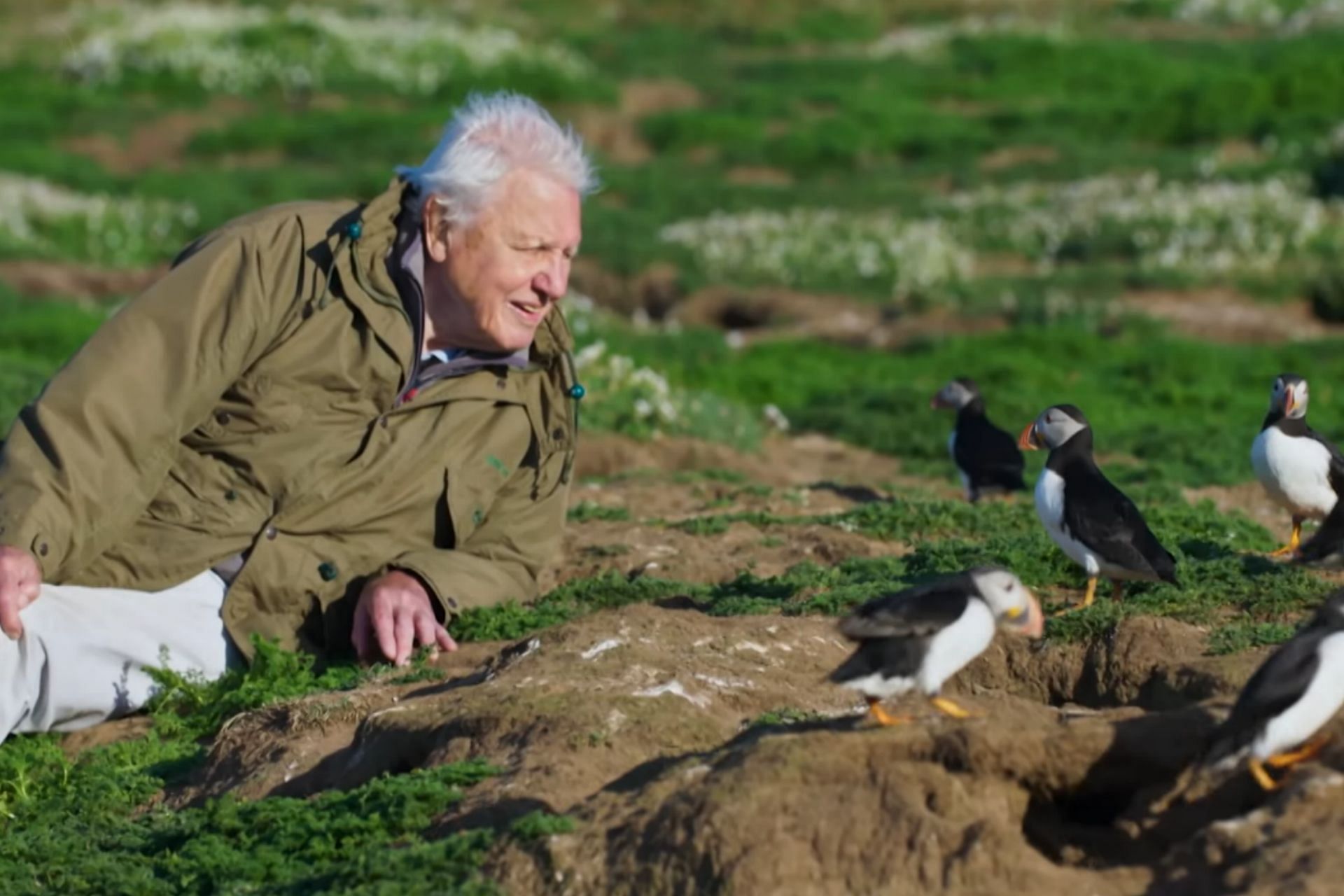 BBC will not broadcast the final episode of David Attenborough