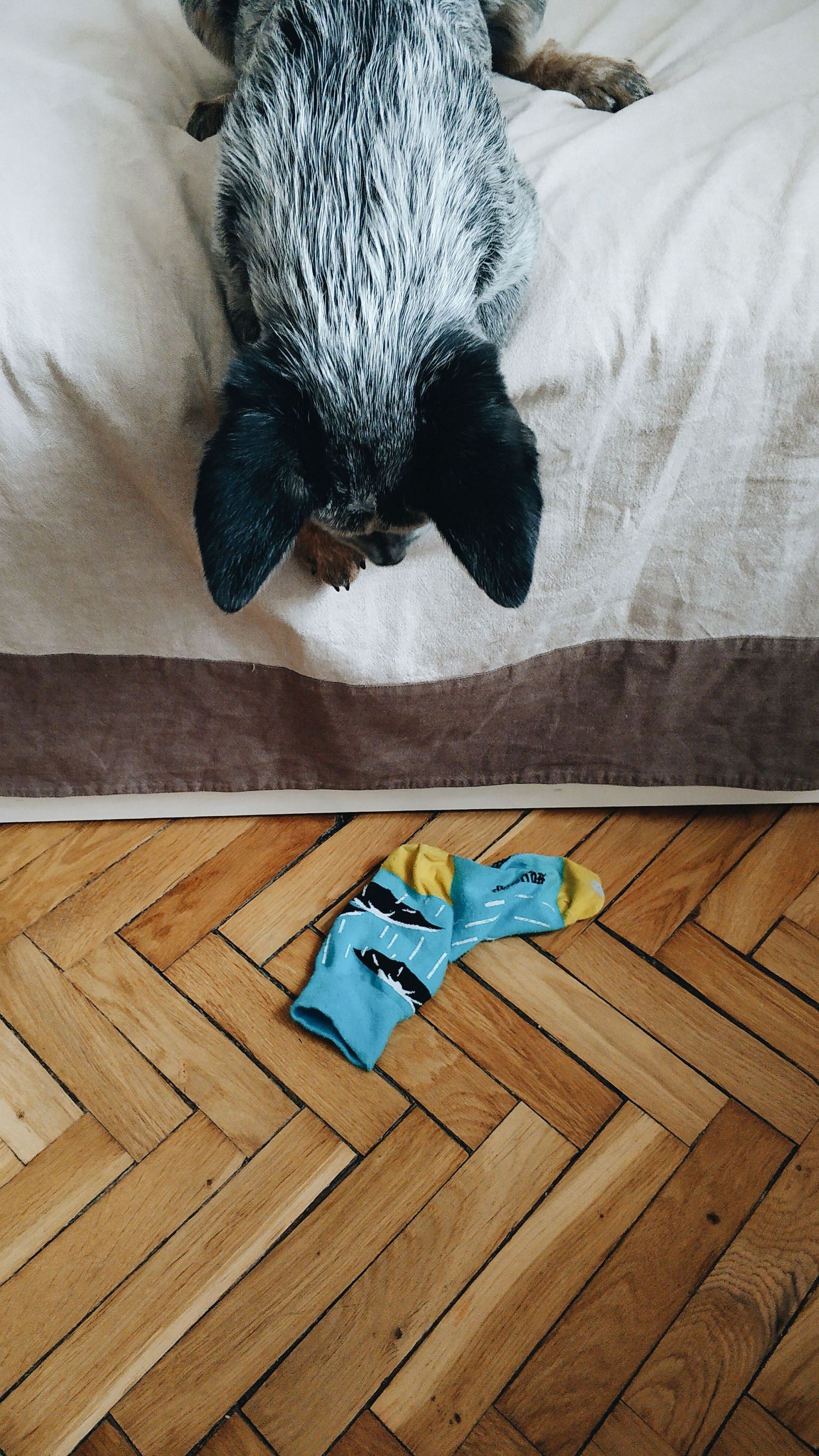 Smell dirty things to throw up (Image via Pexels/Inga Seliverstova)
