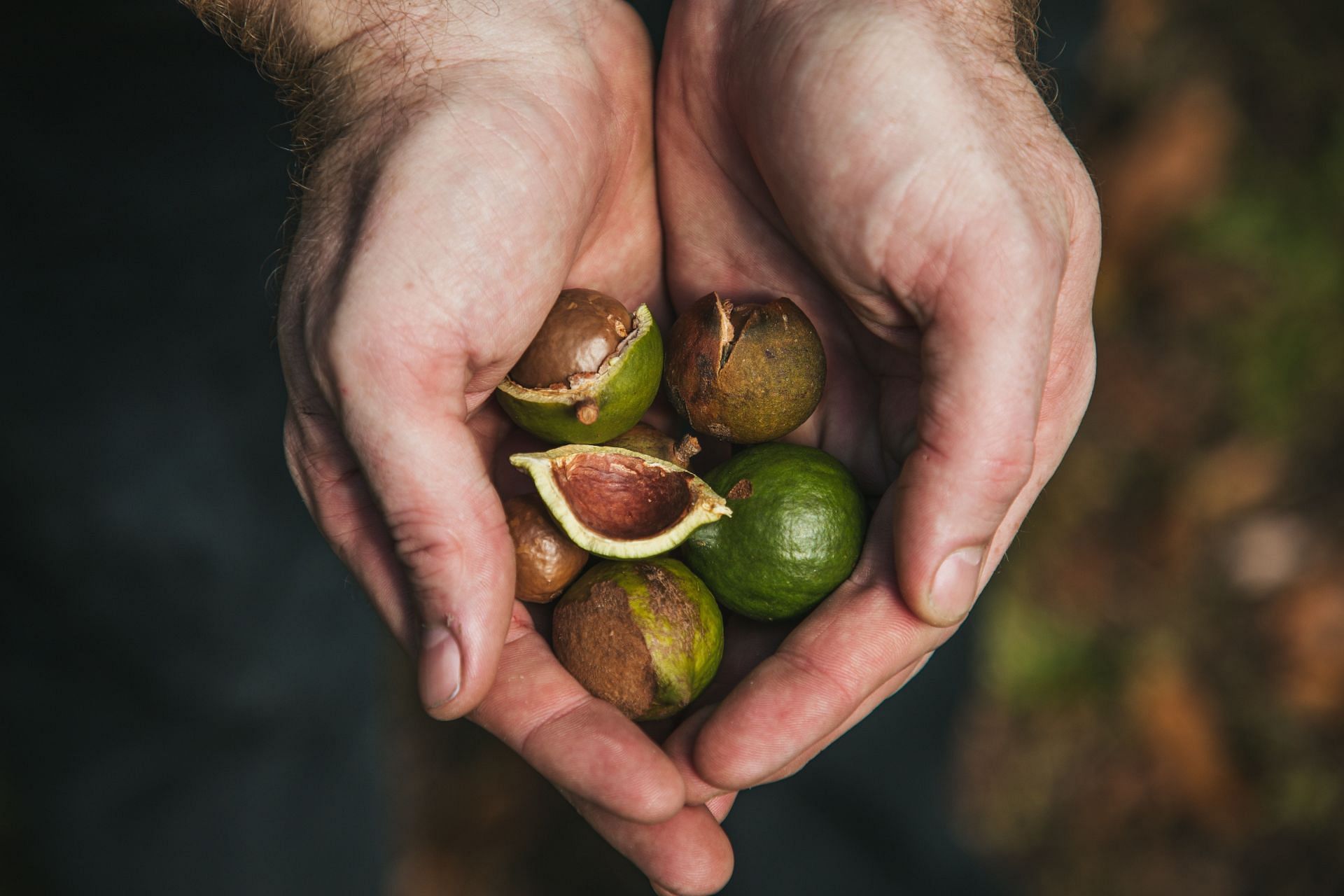 Why eating nuts are good for your heart health? (Image via Unsplash / Anima Visual)