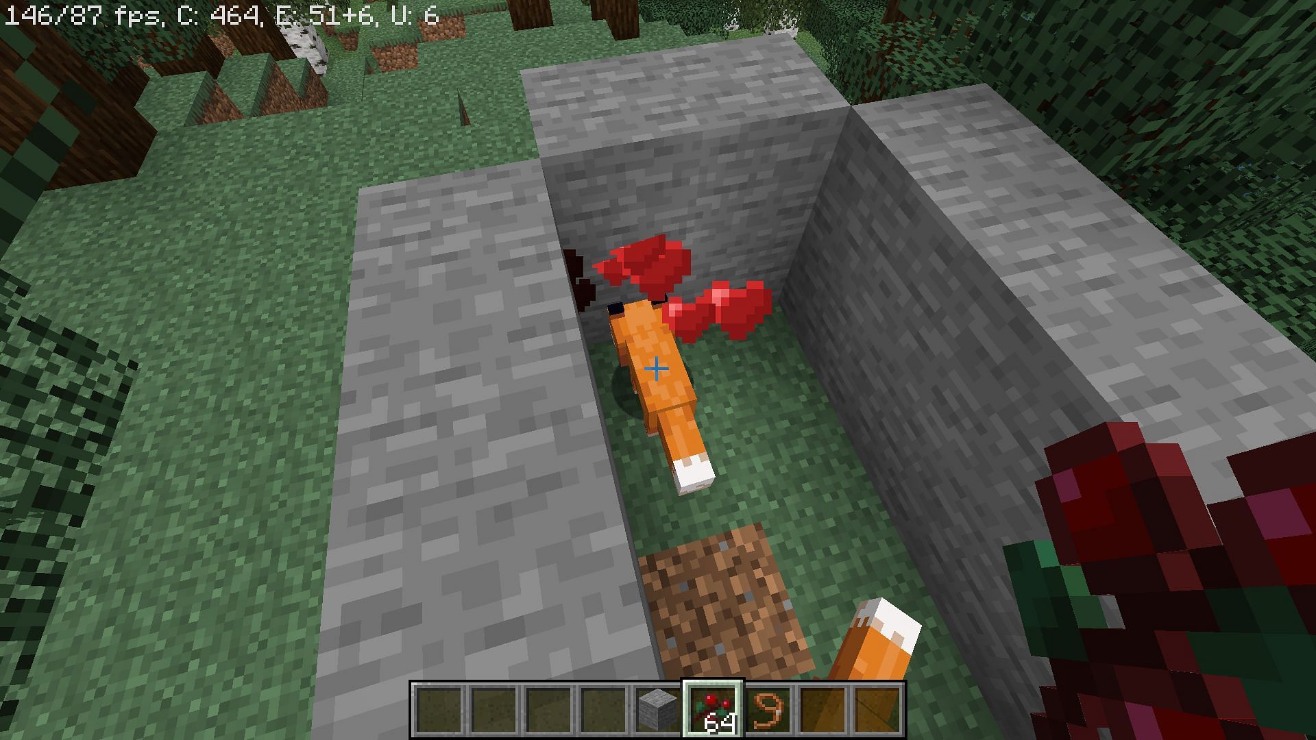 Foxes need to be captured and fed sweet berries for them to breed in Minecraft (Image via Mojang)