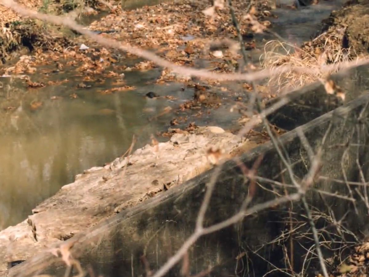 A still of the creek where Amber Hagerman&#039;s dead body was found (Image Via CBS Texas)