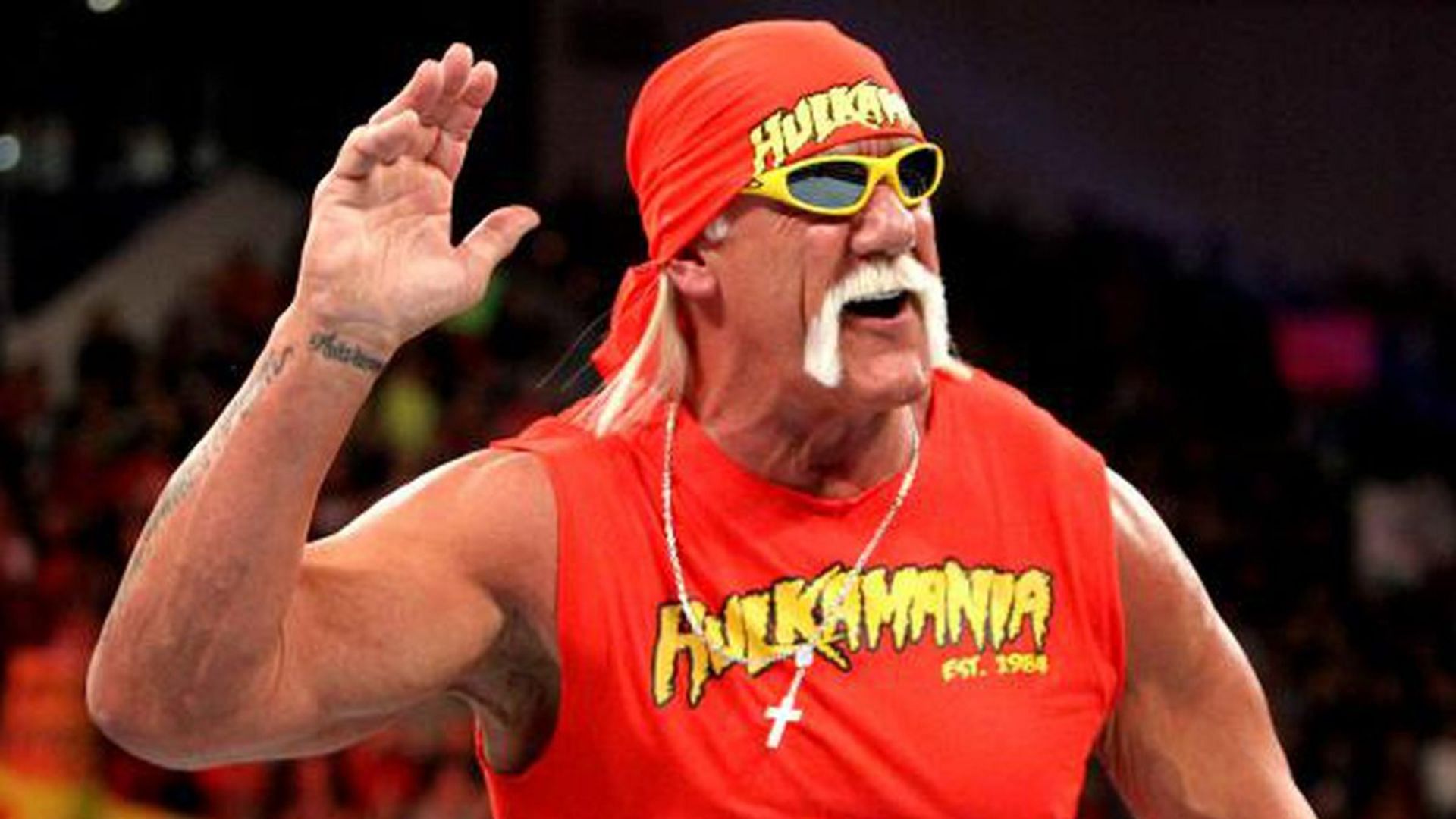 WWE legend on Hulk Hogan saying they didn't like each other